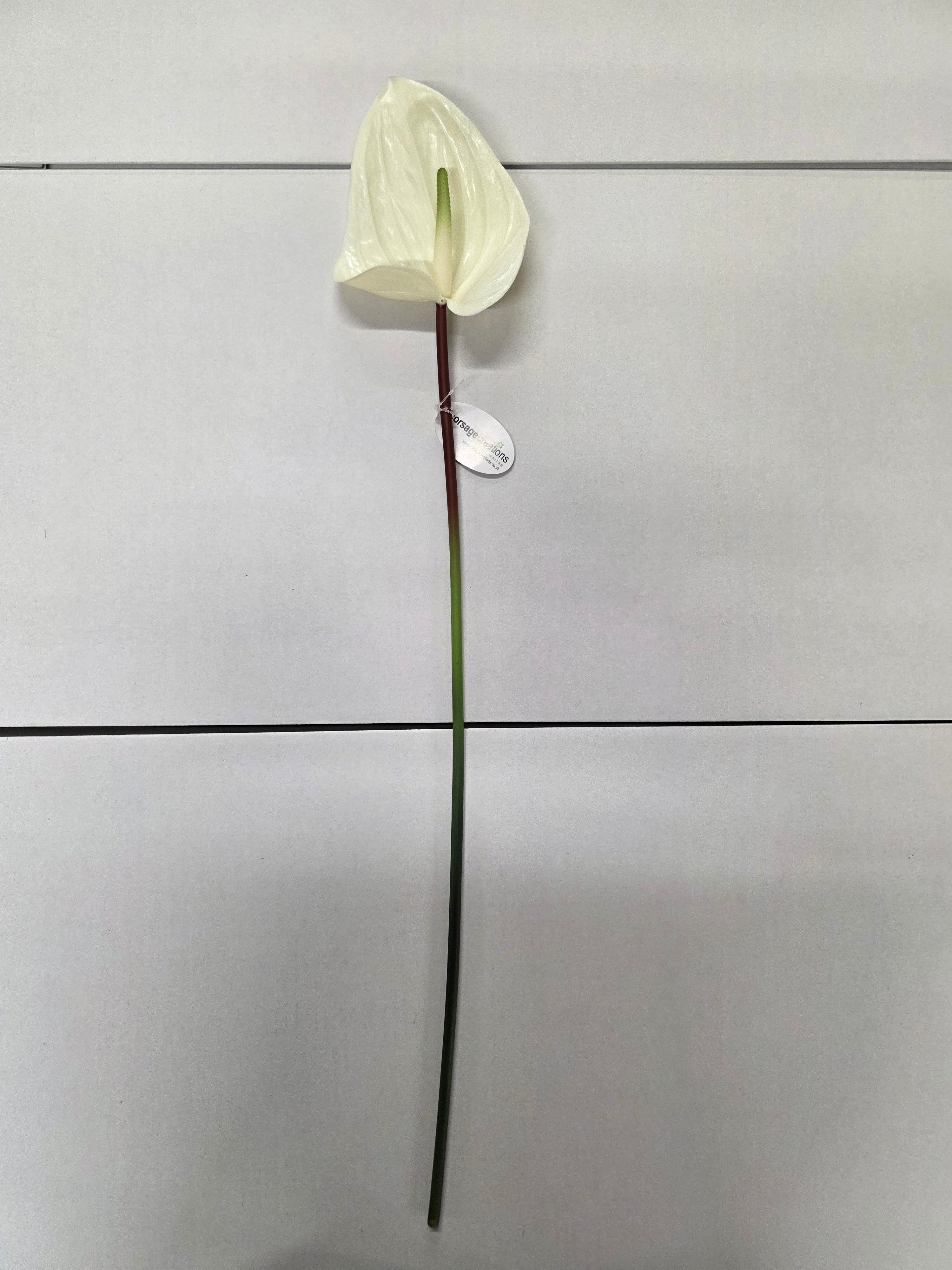 Artificial Anthurium Cream (PACK OF 2)