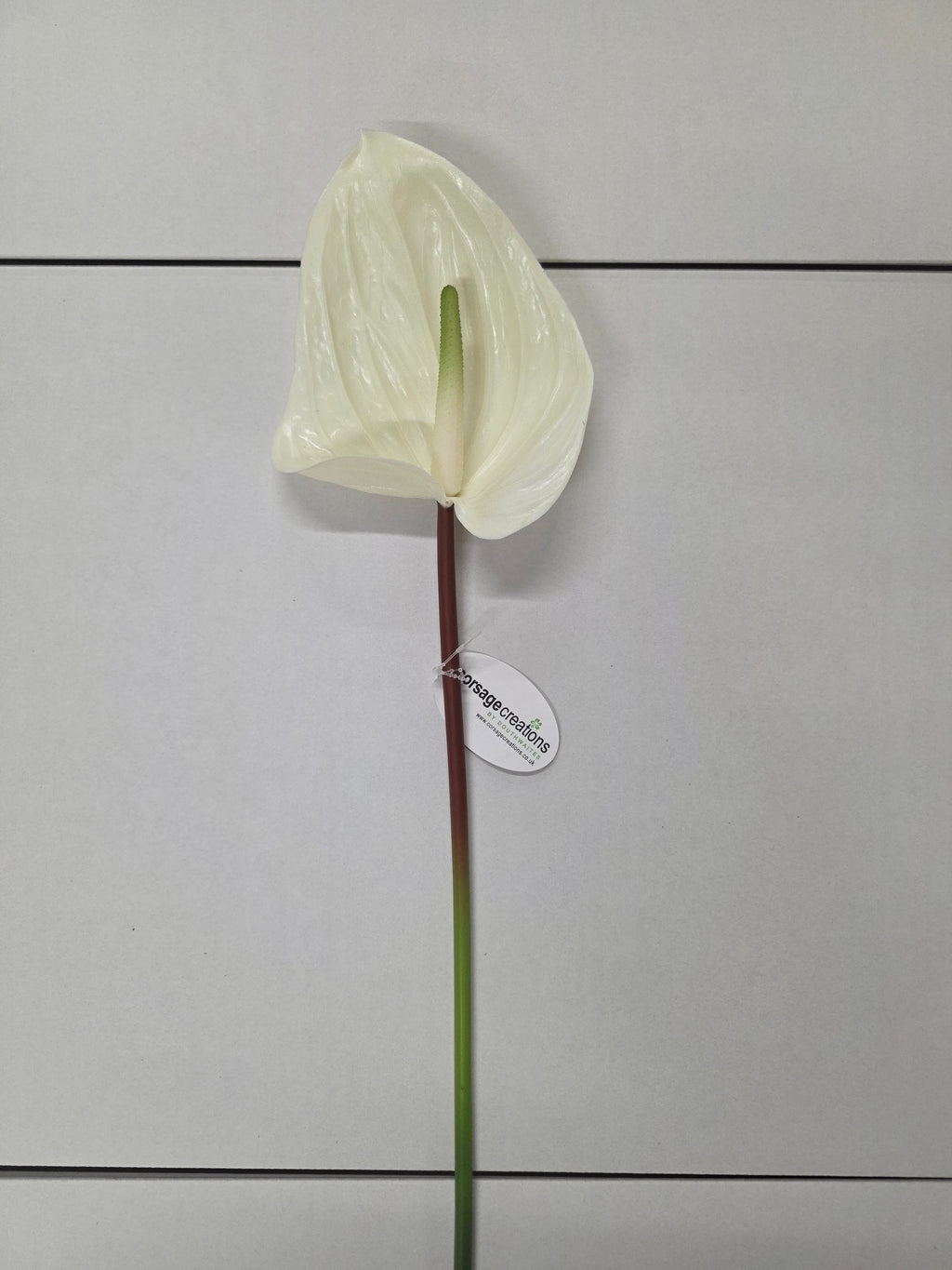Artificial Anthurium Cream (PACK OF 2)
