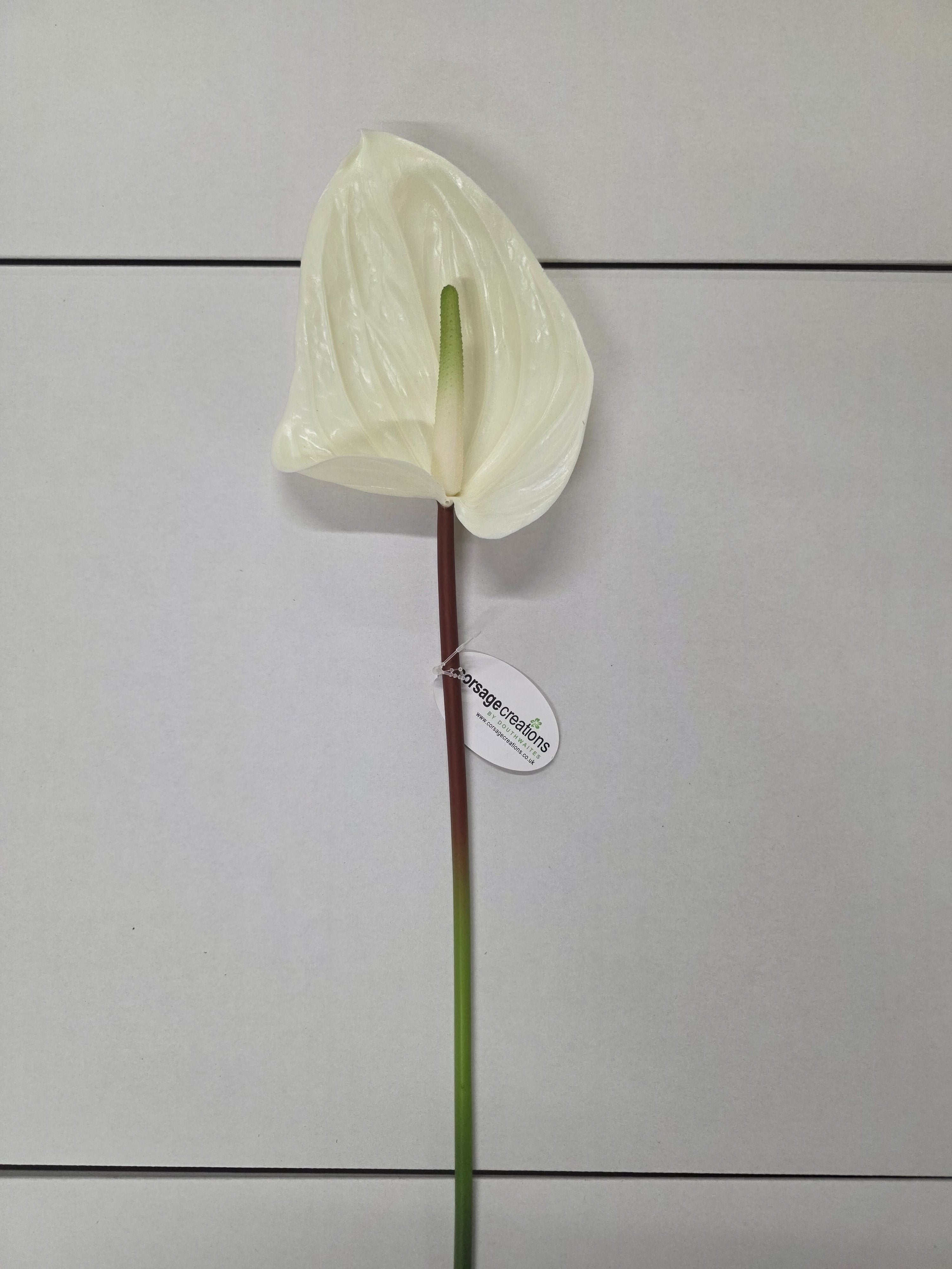 Artificial Anthurium Cream (PACK OF 2)