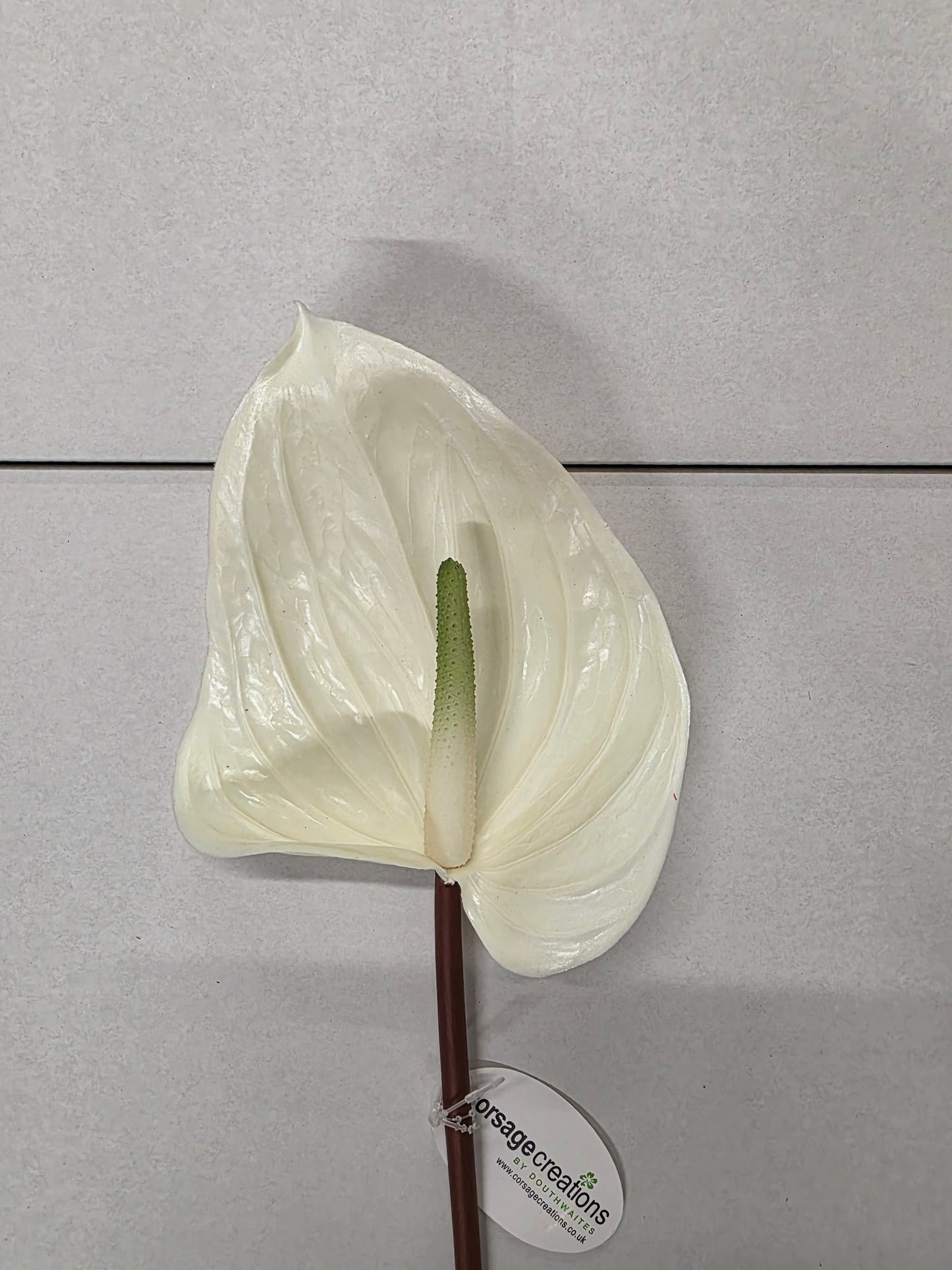 Artificial Anthurium Cream (PACK OF 2)