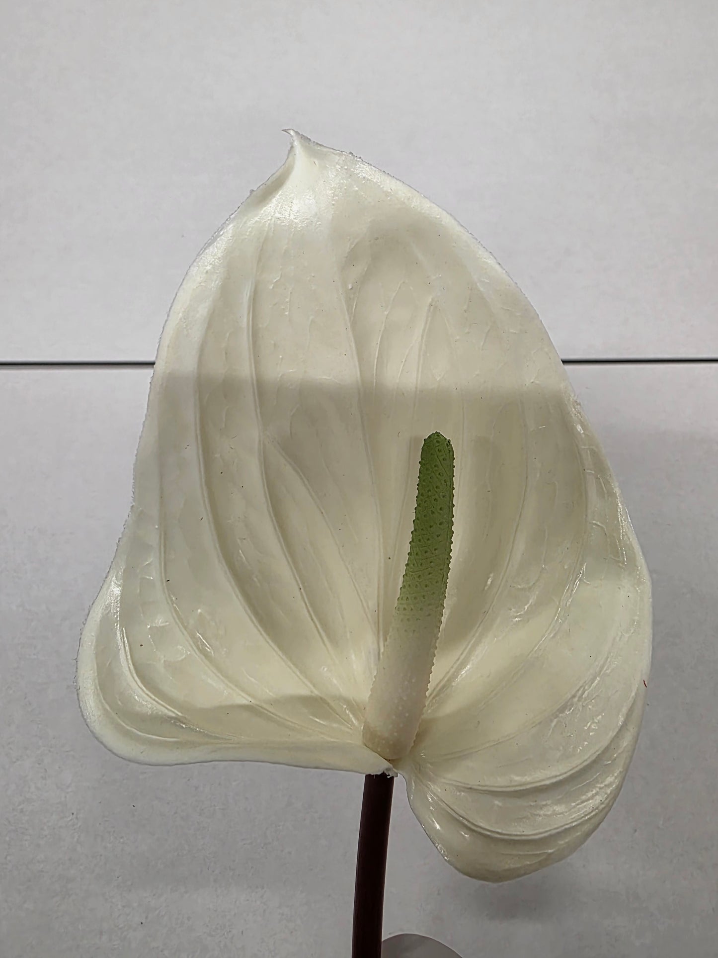 Artificial Anthurium Cream (PACK OF 2)