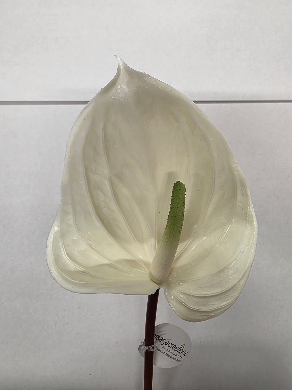 Artificial Anthurium Cream (PACK OF 2)