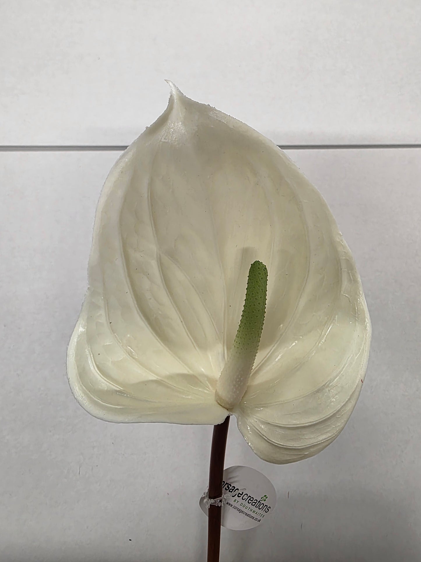 Artificial Anthurium Cream (PACK OF 2)