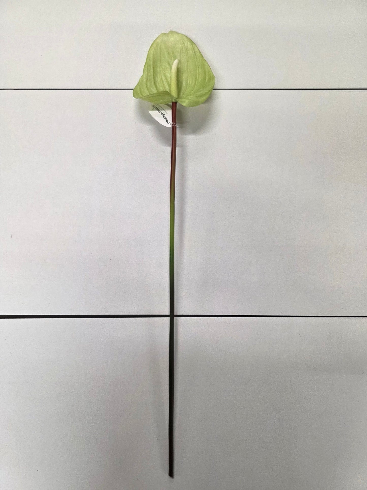 Artificial Anthurium Green 76cm (PACK OF 2)