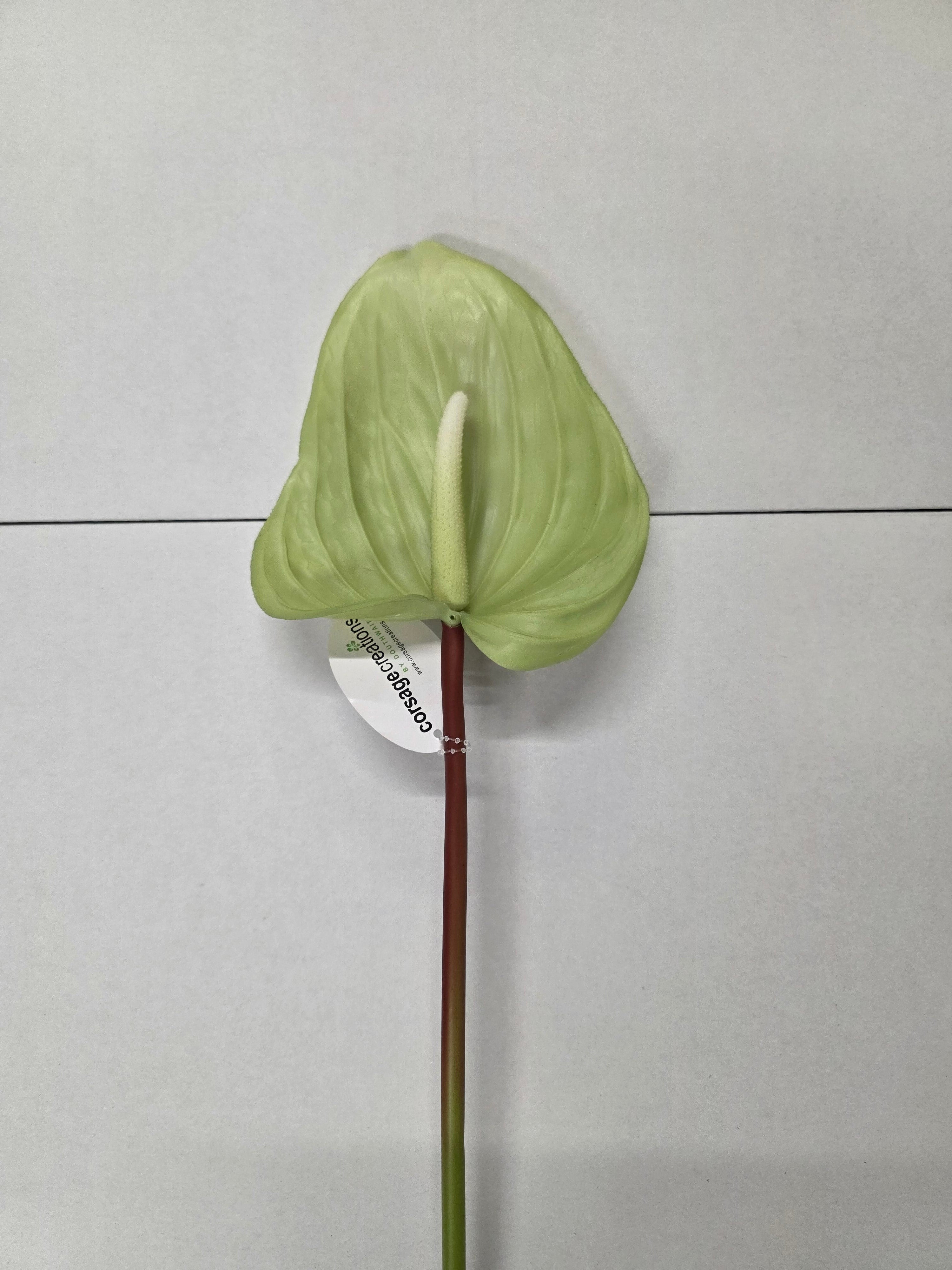 Artificial Anthurium Green 76cm (PACK OF 2)