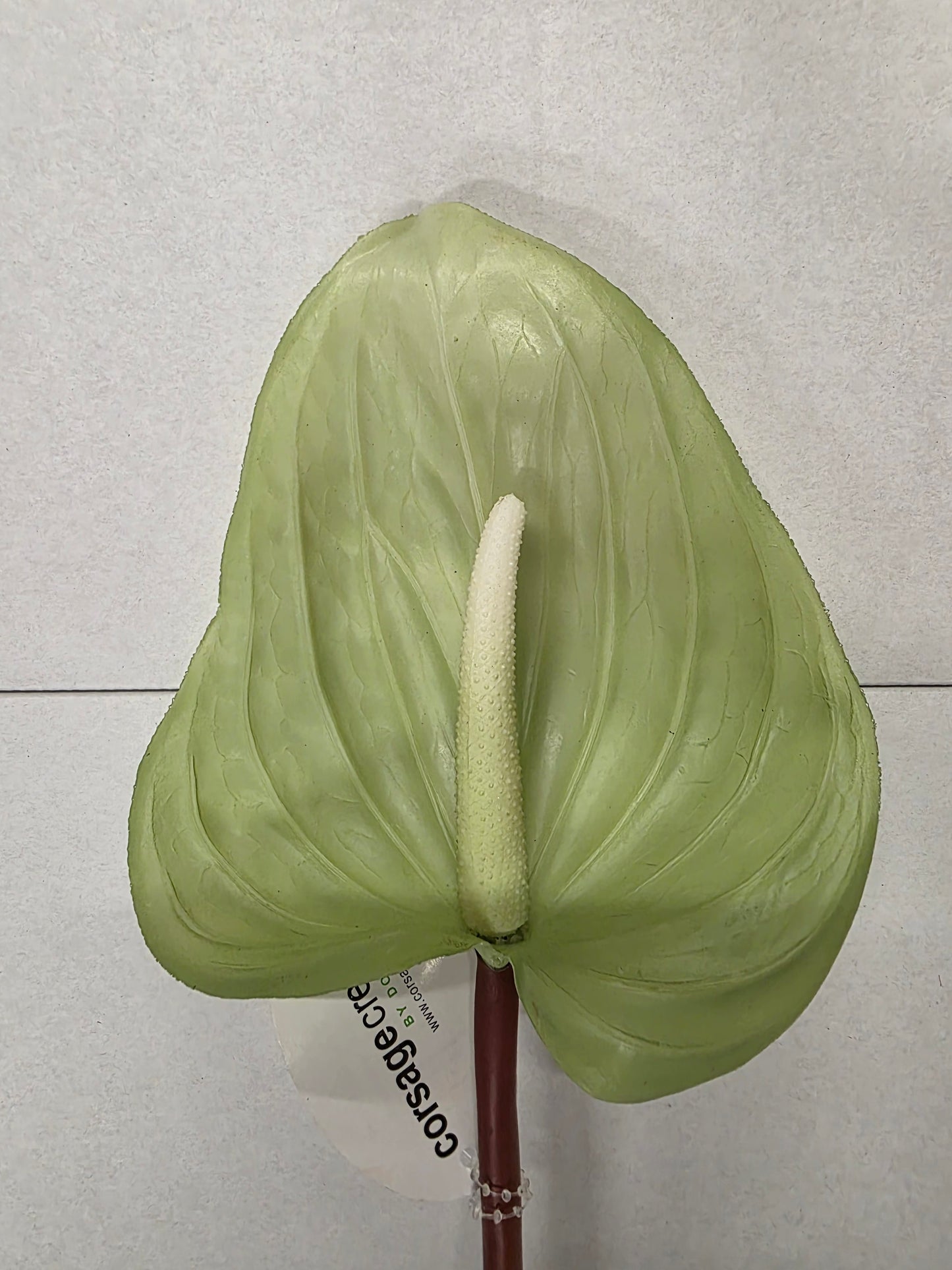 Artificial Anthurium Green 76cm (PACK OF 2)