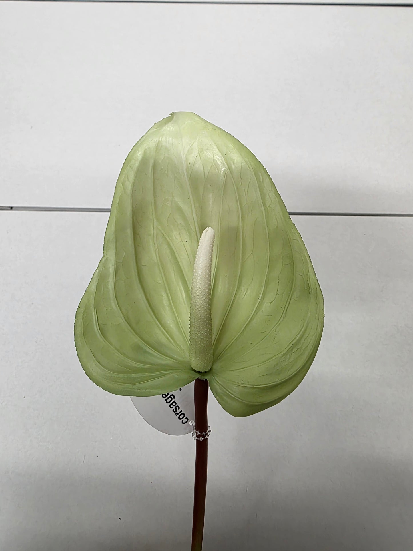 Artificial Anthurium Green 76cm (PACK OF 2)