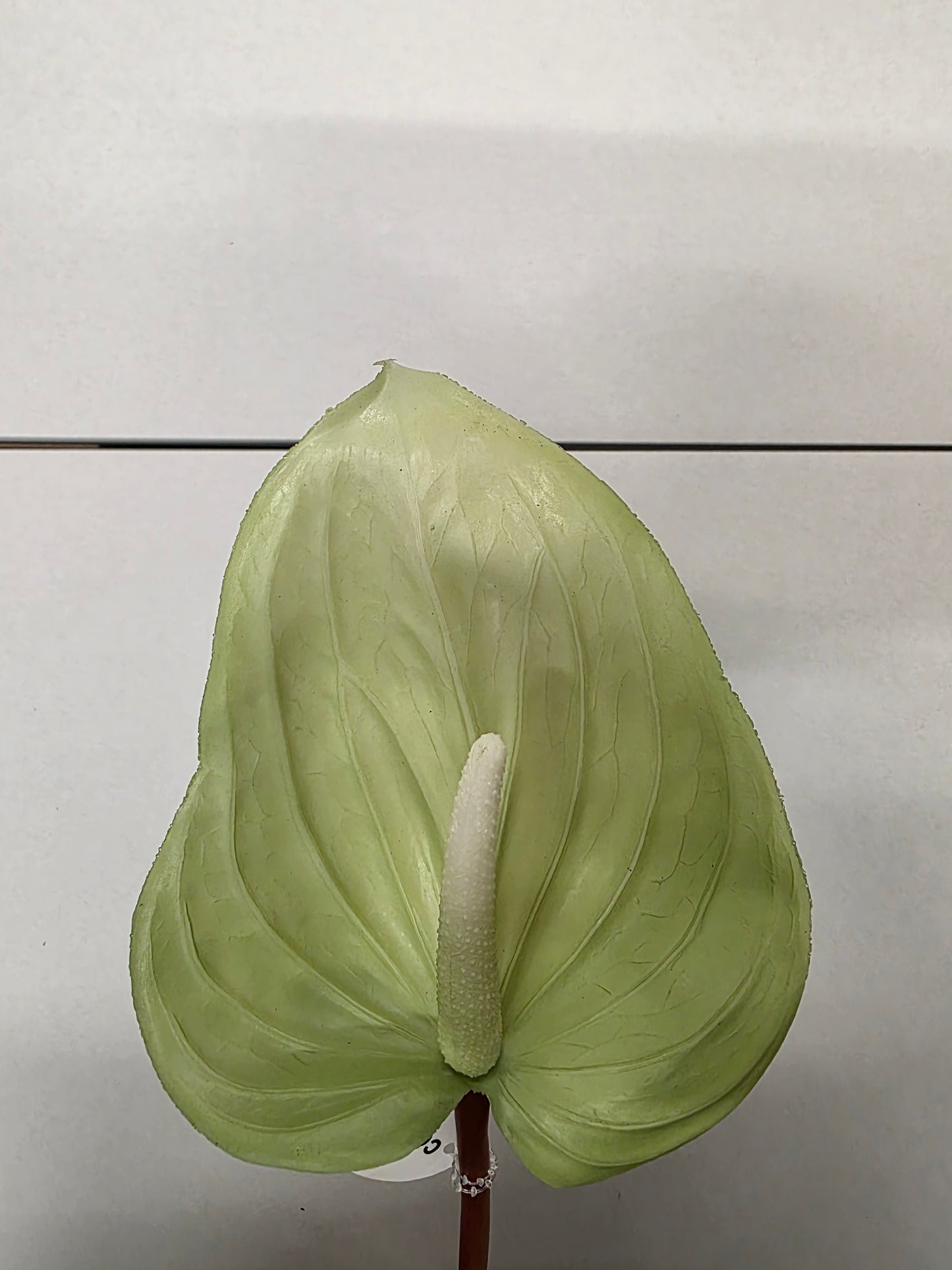 Artificial Anthurium Green 76cm (PACK OF 2)