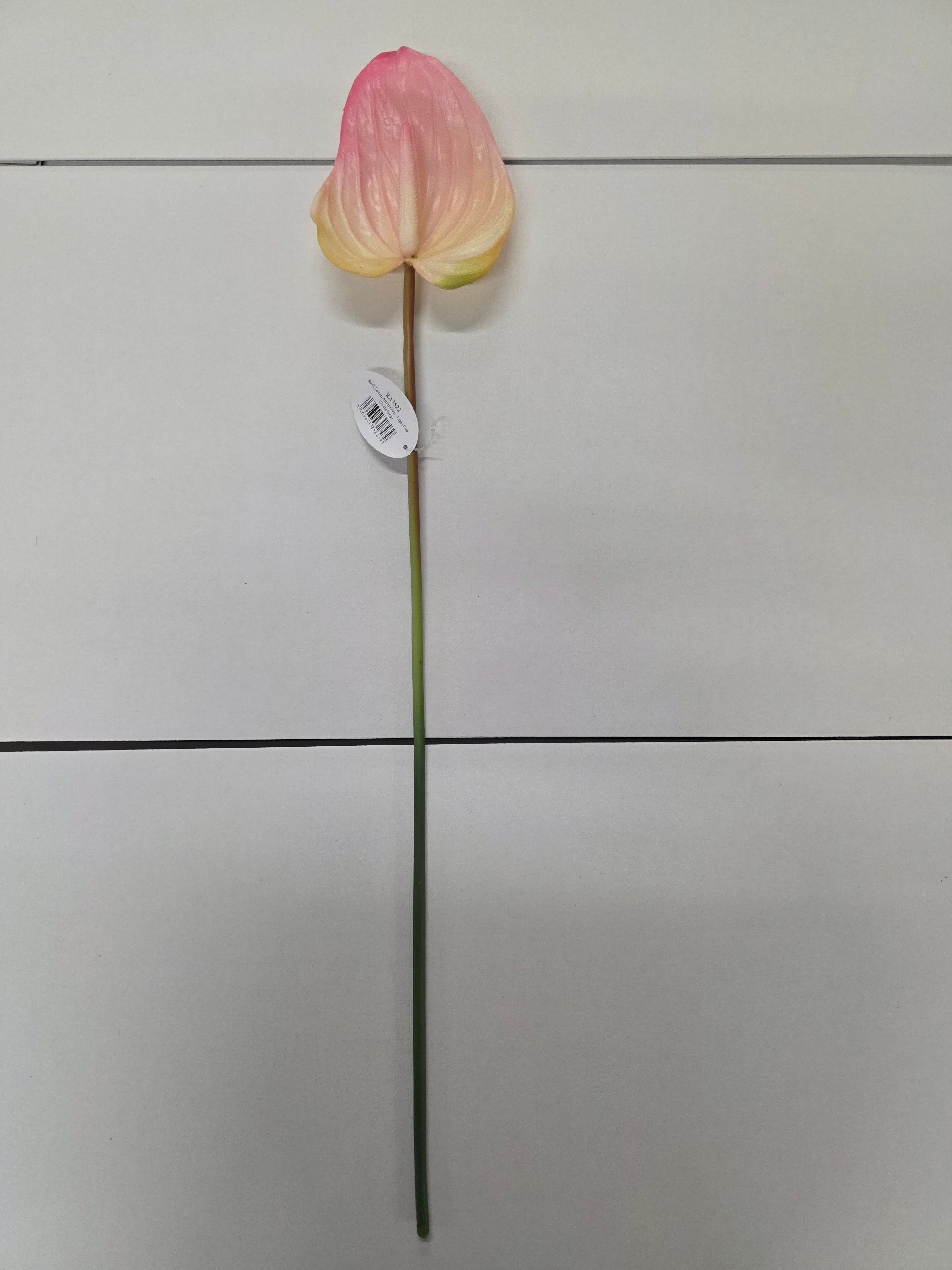 Artificial Anthurium Pink Real Touch 76cm (PACK OF 2)