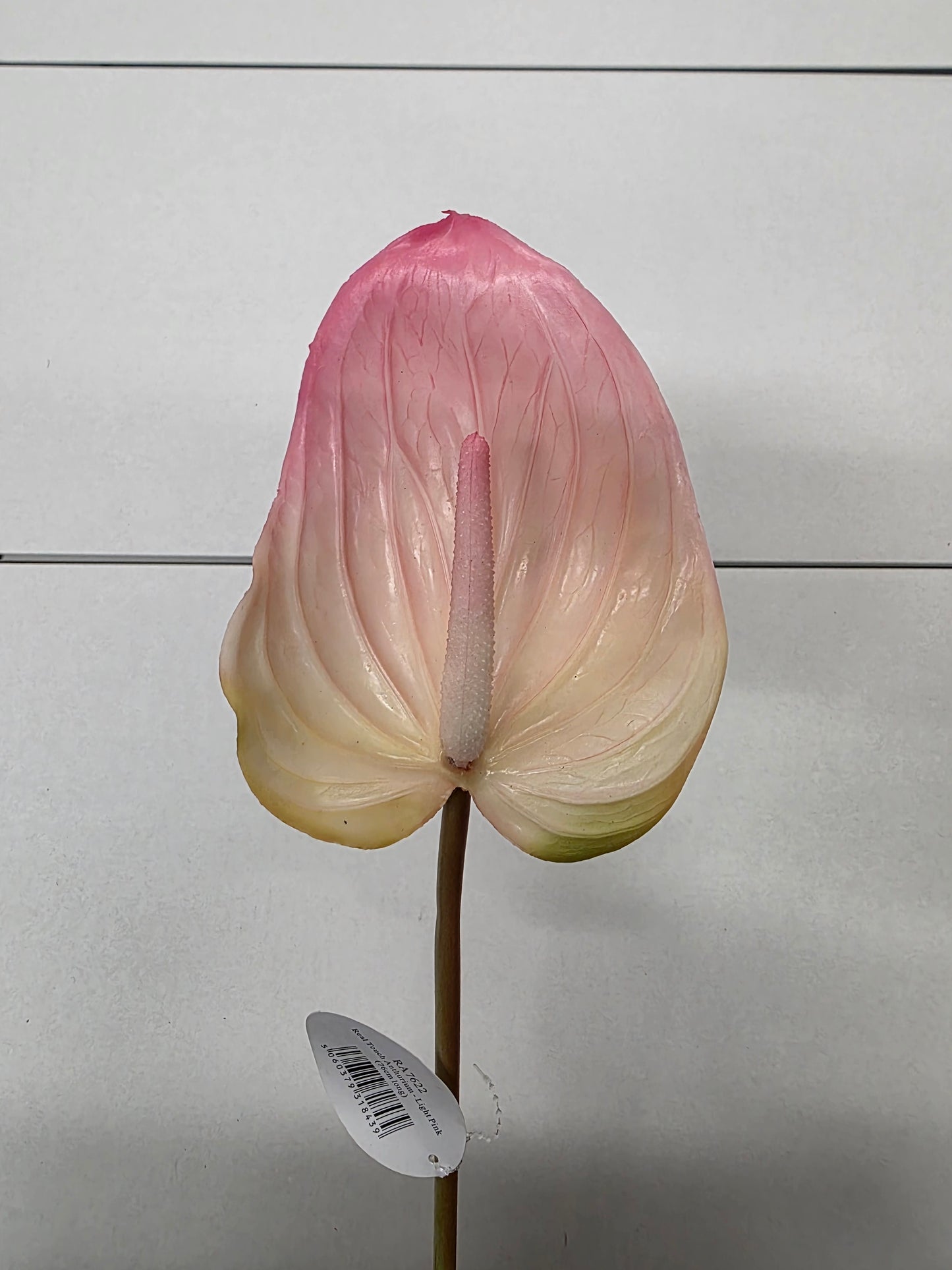 Artificial Anthurium Pink Real Touch 76cm (PACK OF 2)