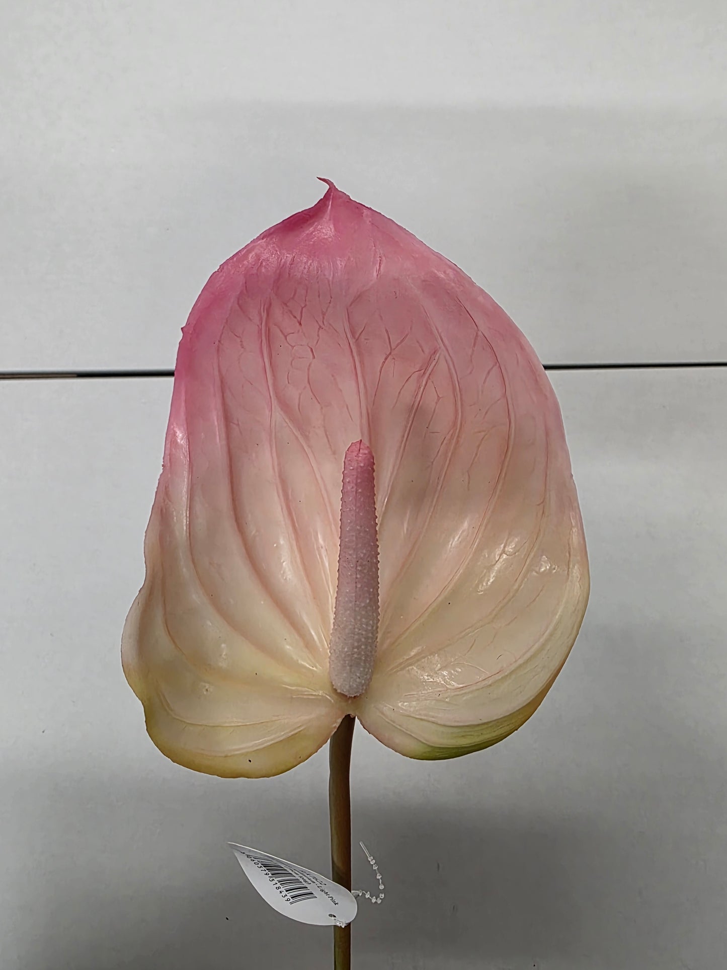 Artificial Anthurium Pink Real Touch 76cm (PACK OF 2)