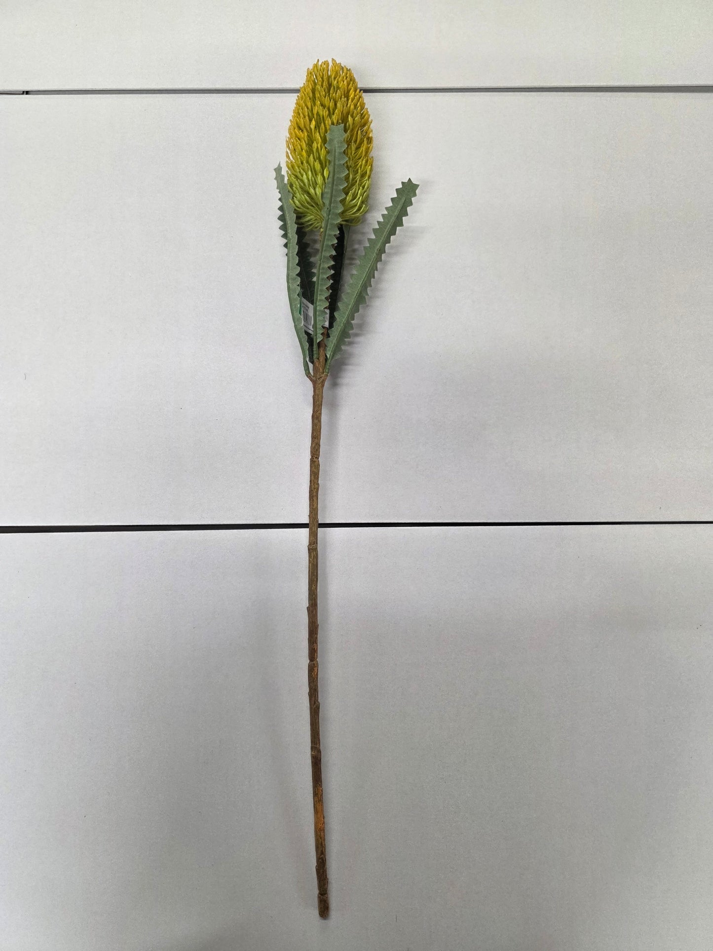 Artificial Banksia Spray Yellow 72 Cm