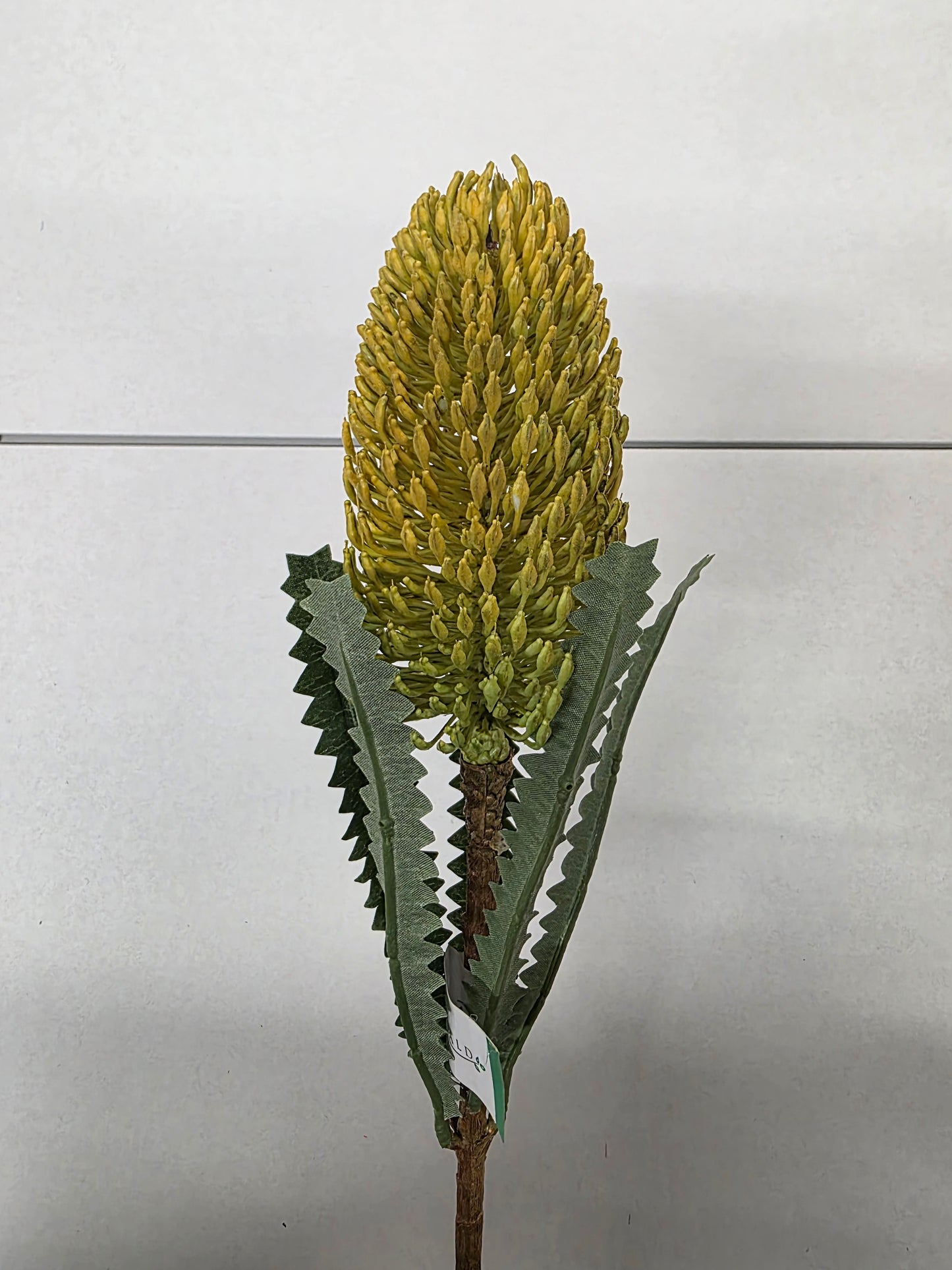 Artificial Banksia Spray Yellow 72 Cm