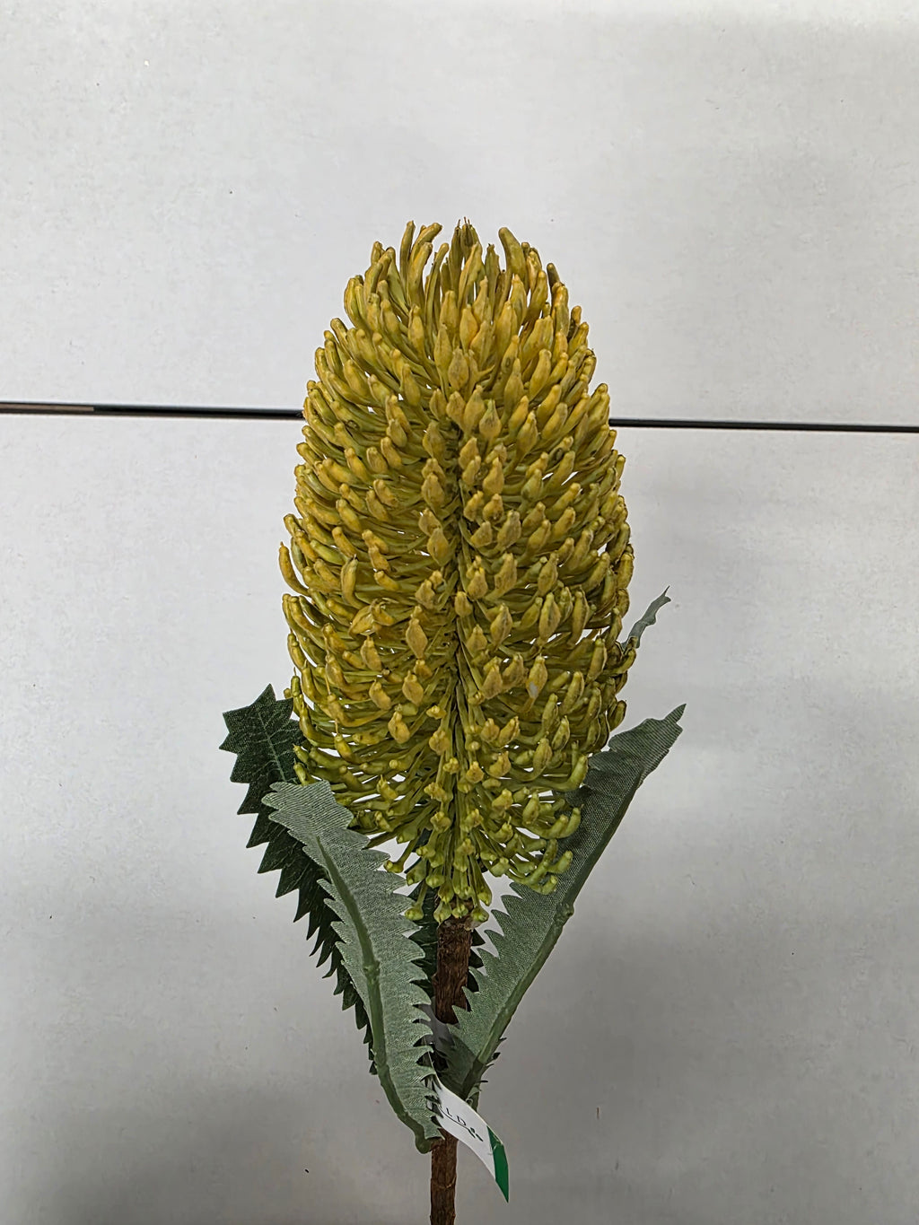 Artificial Banksia Spray Yellow 72 Cm