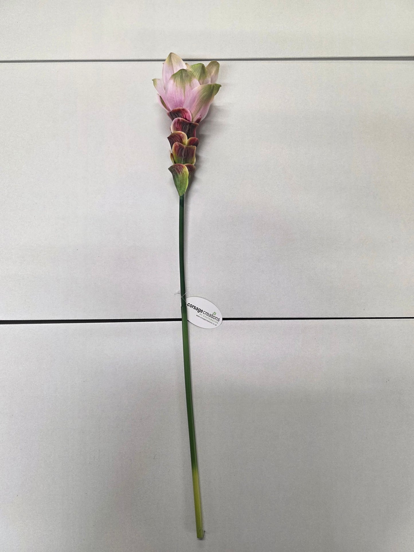 Artificial Curcuma Light Pink