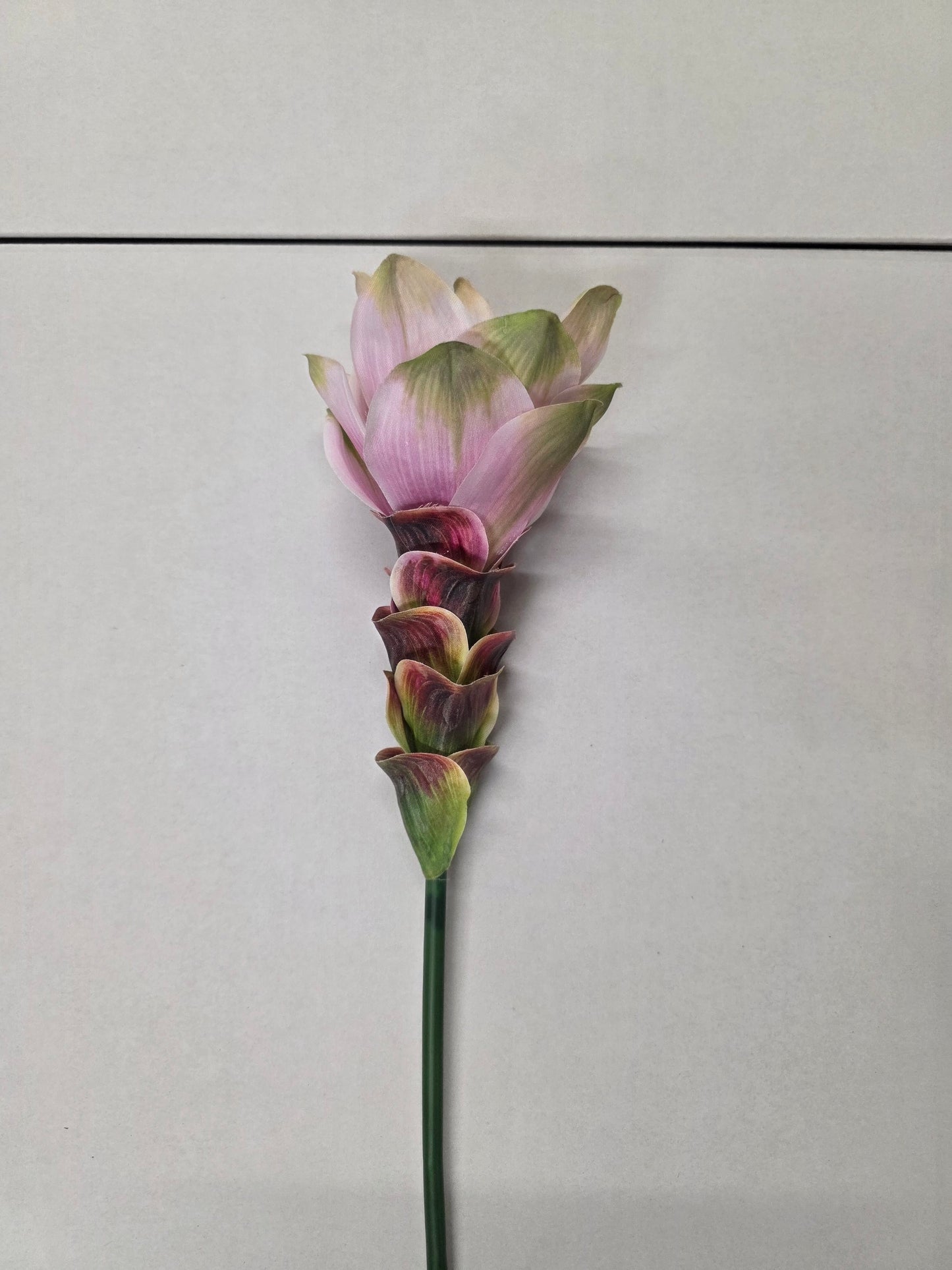 Artificial Curcuma Light Pink