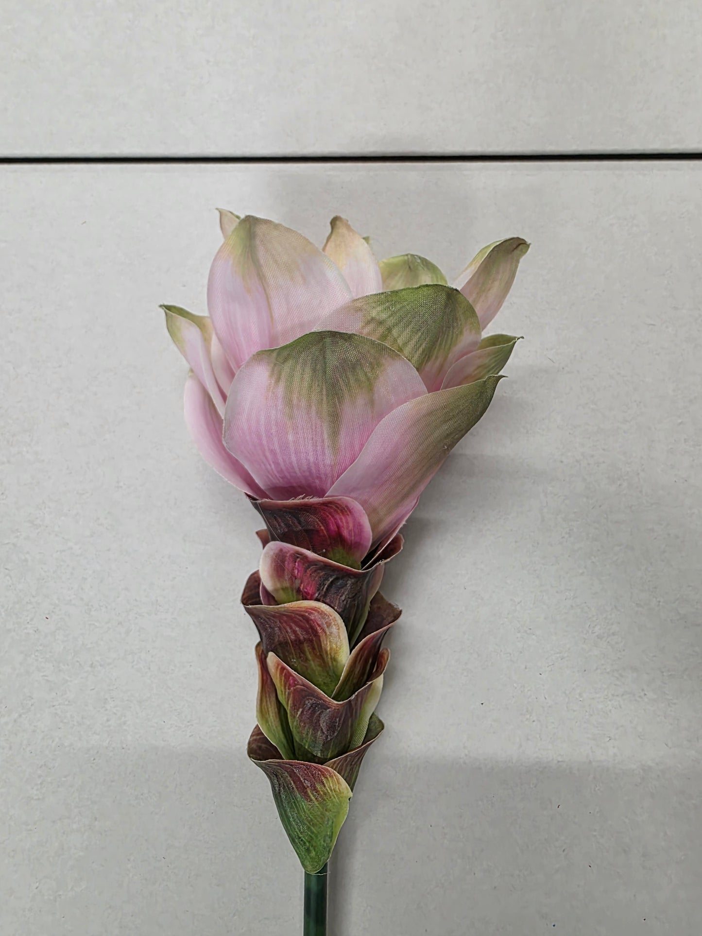 Artificial Curcuma Light Pink
