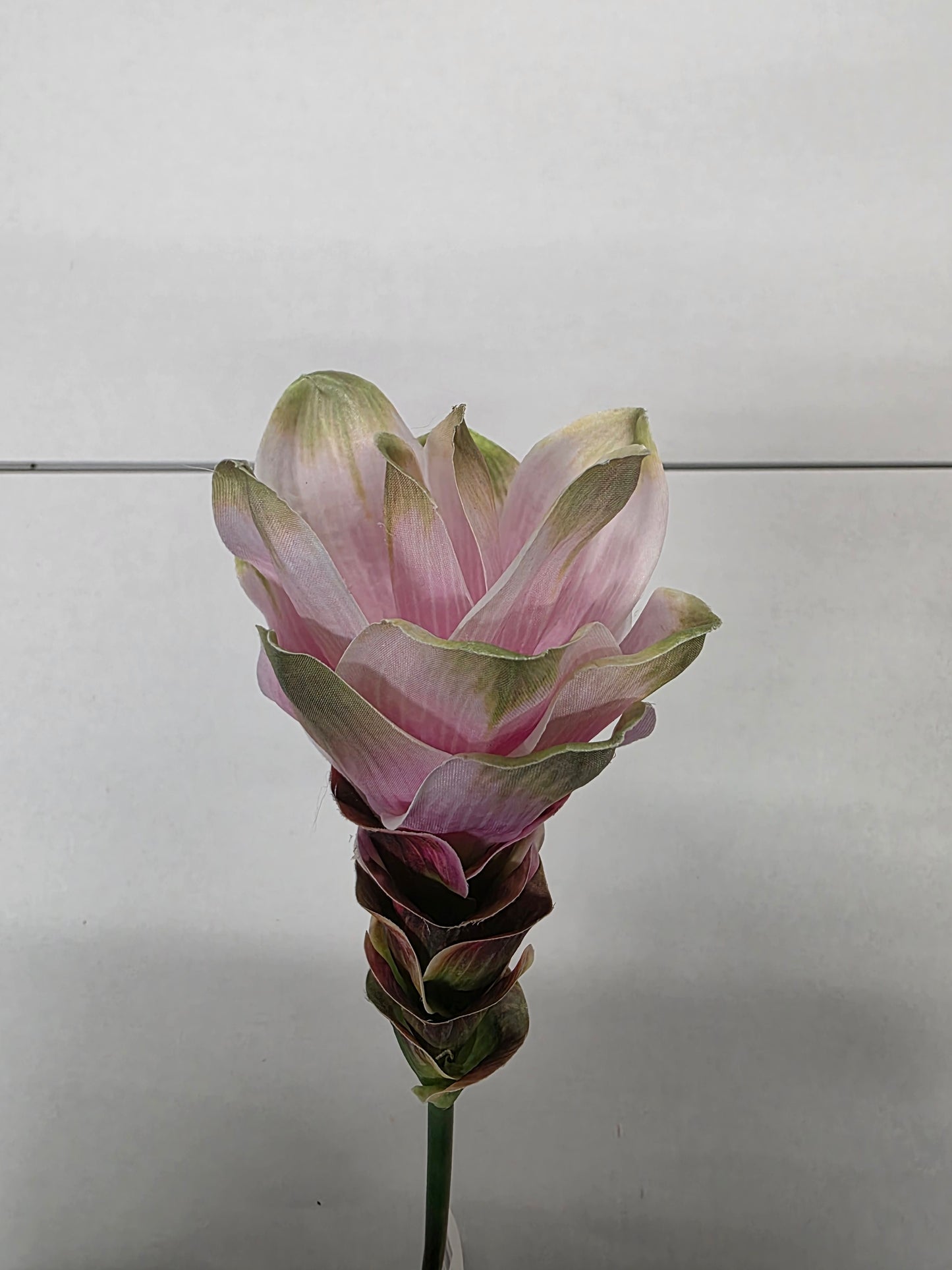 Artificial Curcuma Light Pink