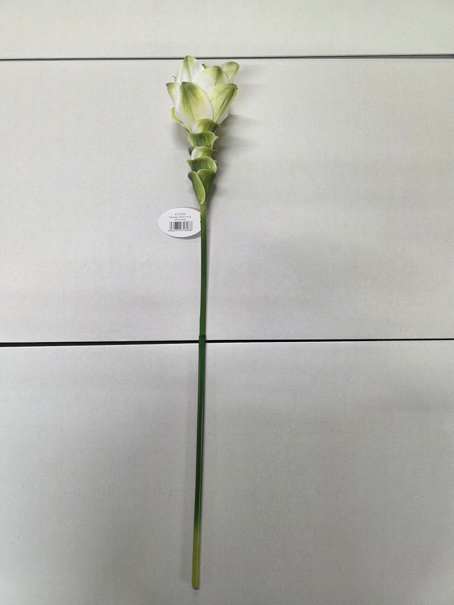 Artificial Curcuma White Green