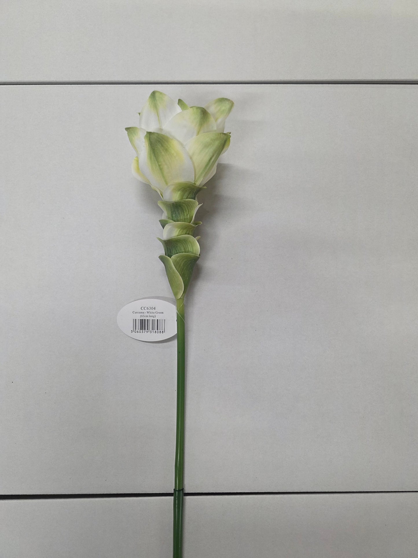 Artificial Curcuma White Green
