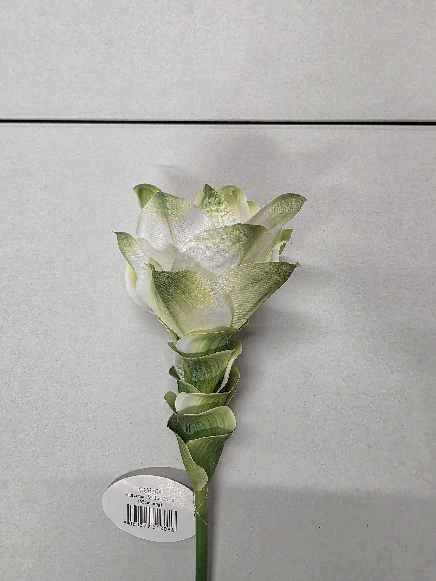 Artificial Curcuma White Green