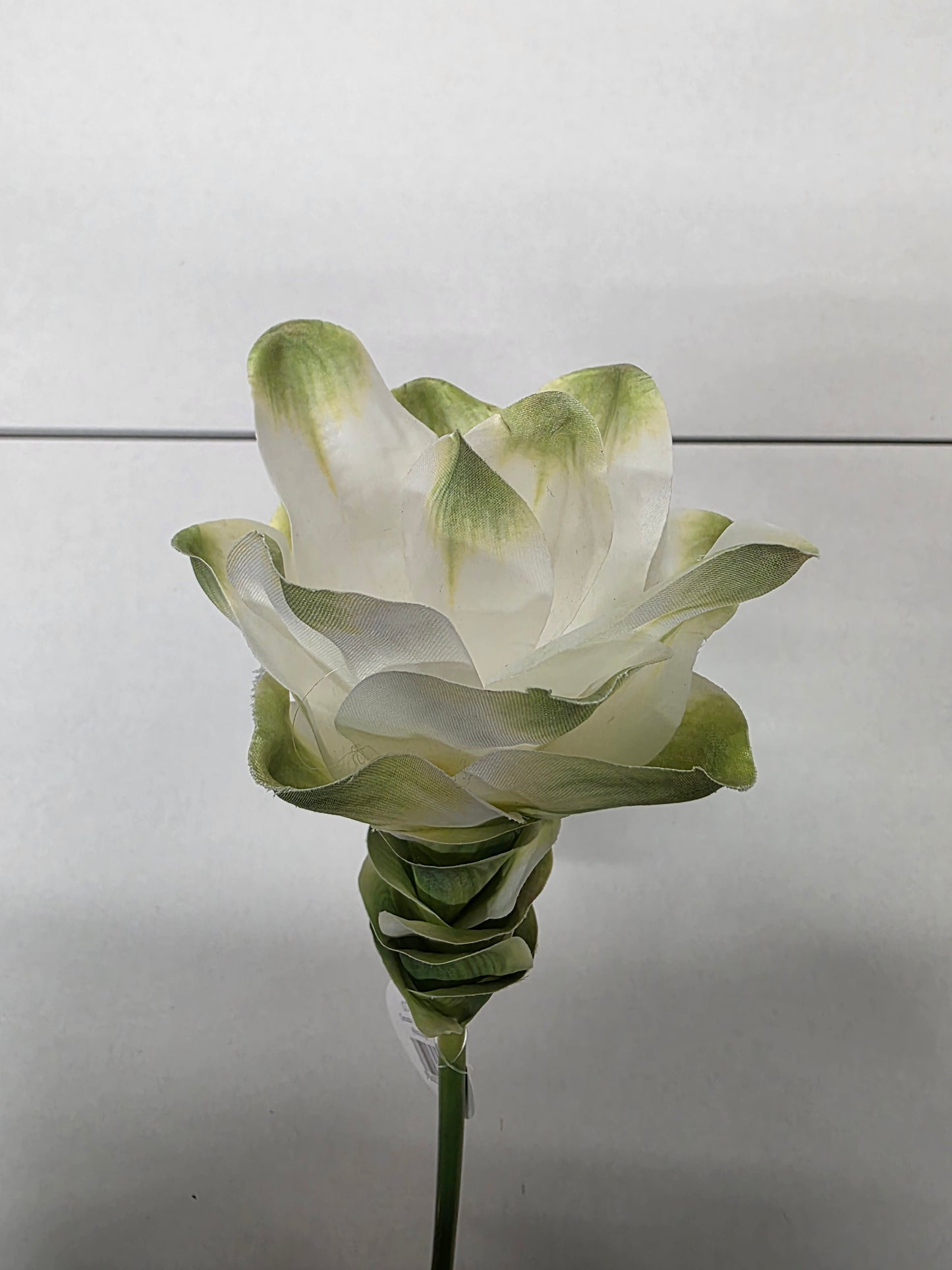 Artificial Curcuma White Green