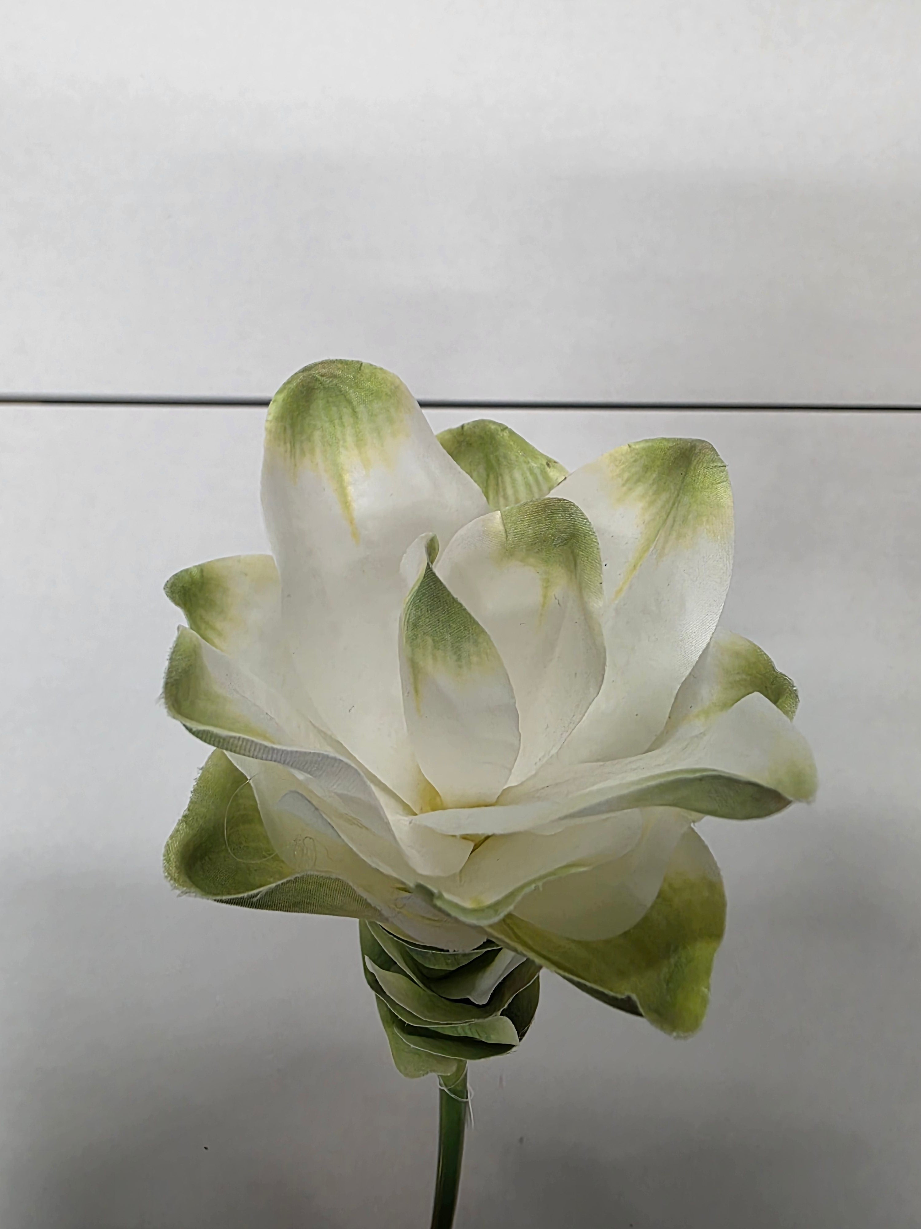 Artificial Curcuma White Green