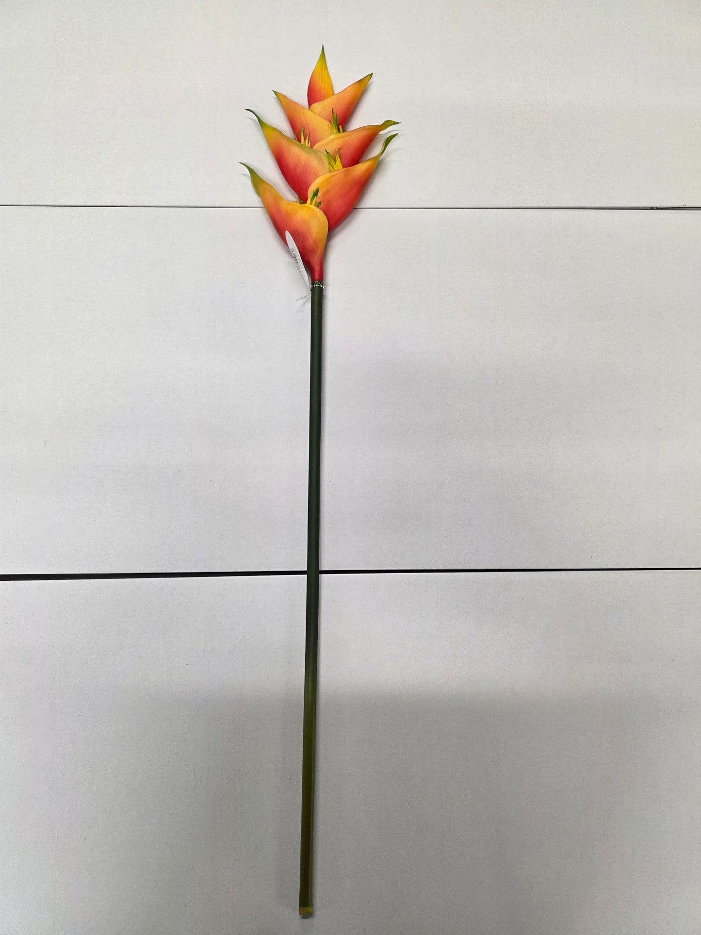 Artificial Heliconia Natural