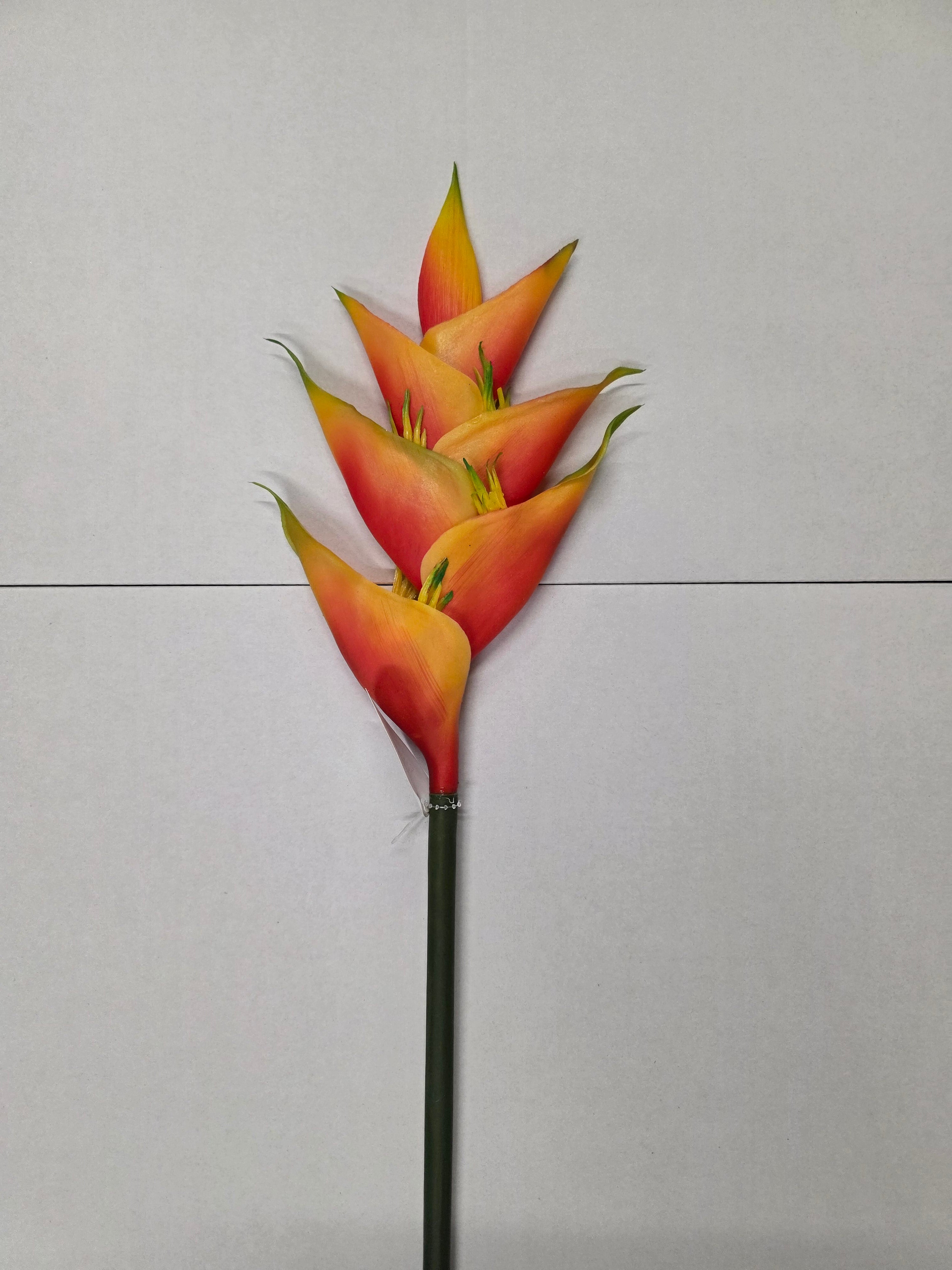 Artificial Heliconia Natural