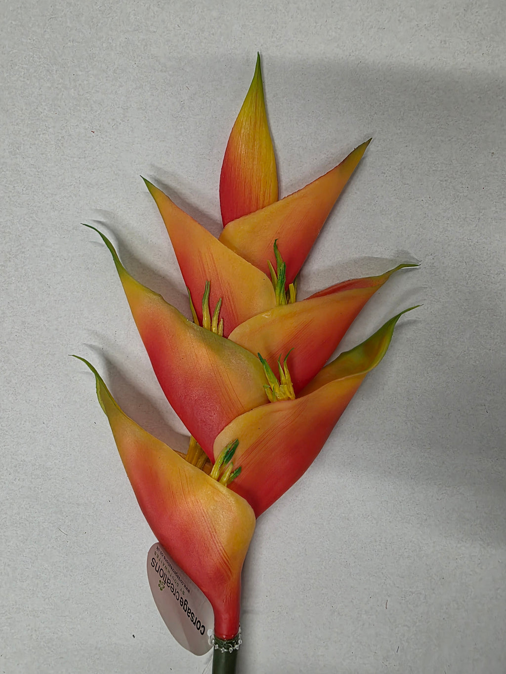 Artificial Heliconia Natural