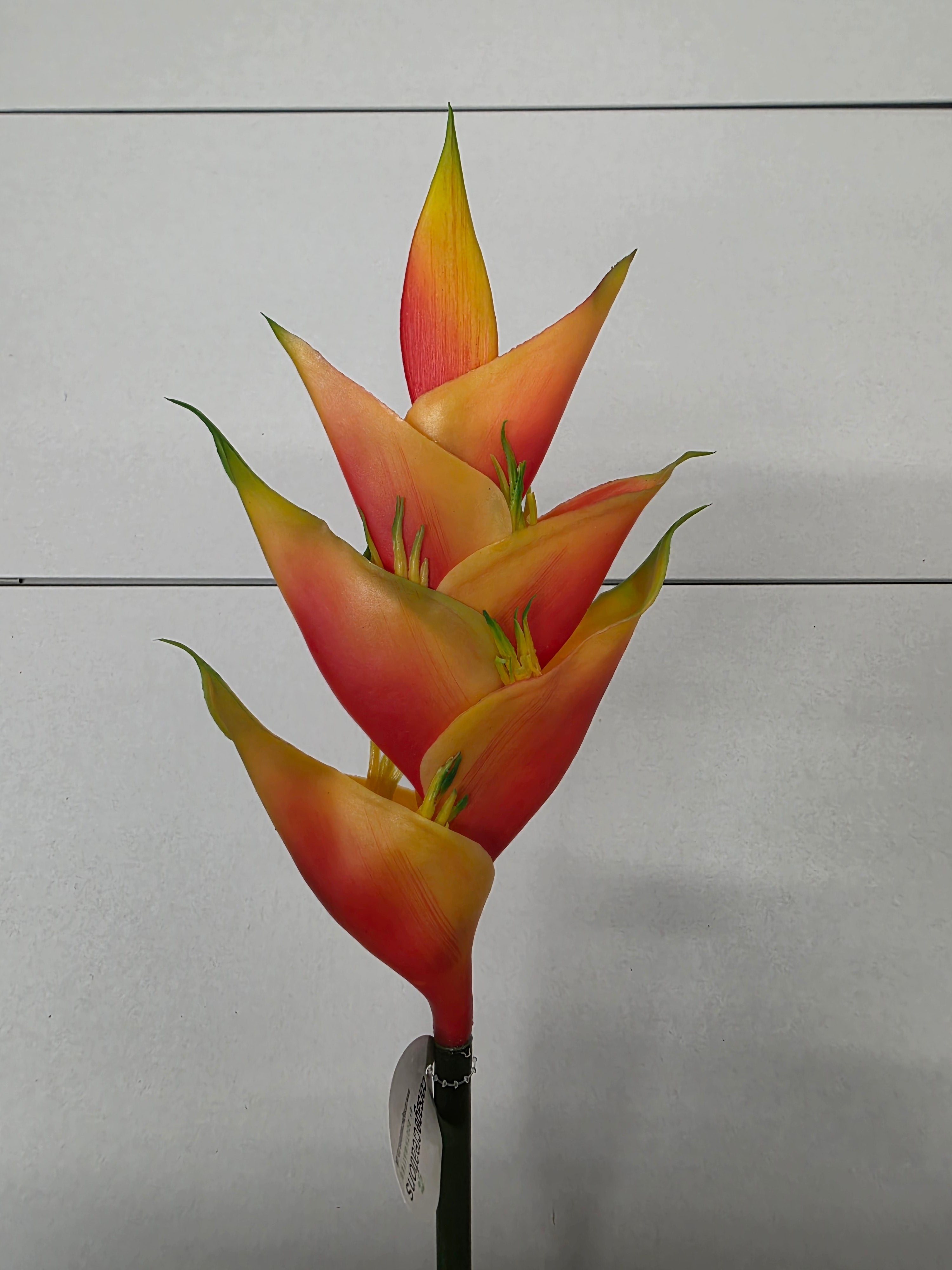 Artificial Heliconia Natural