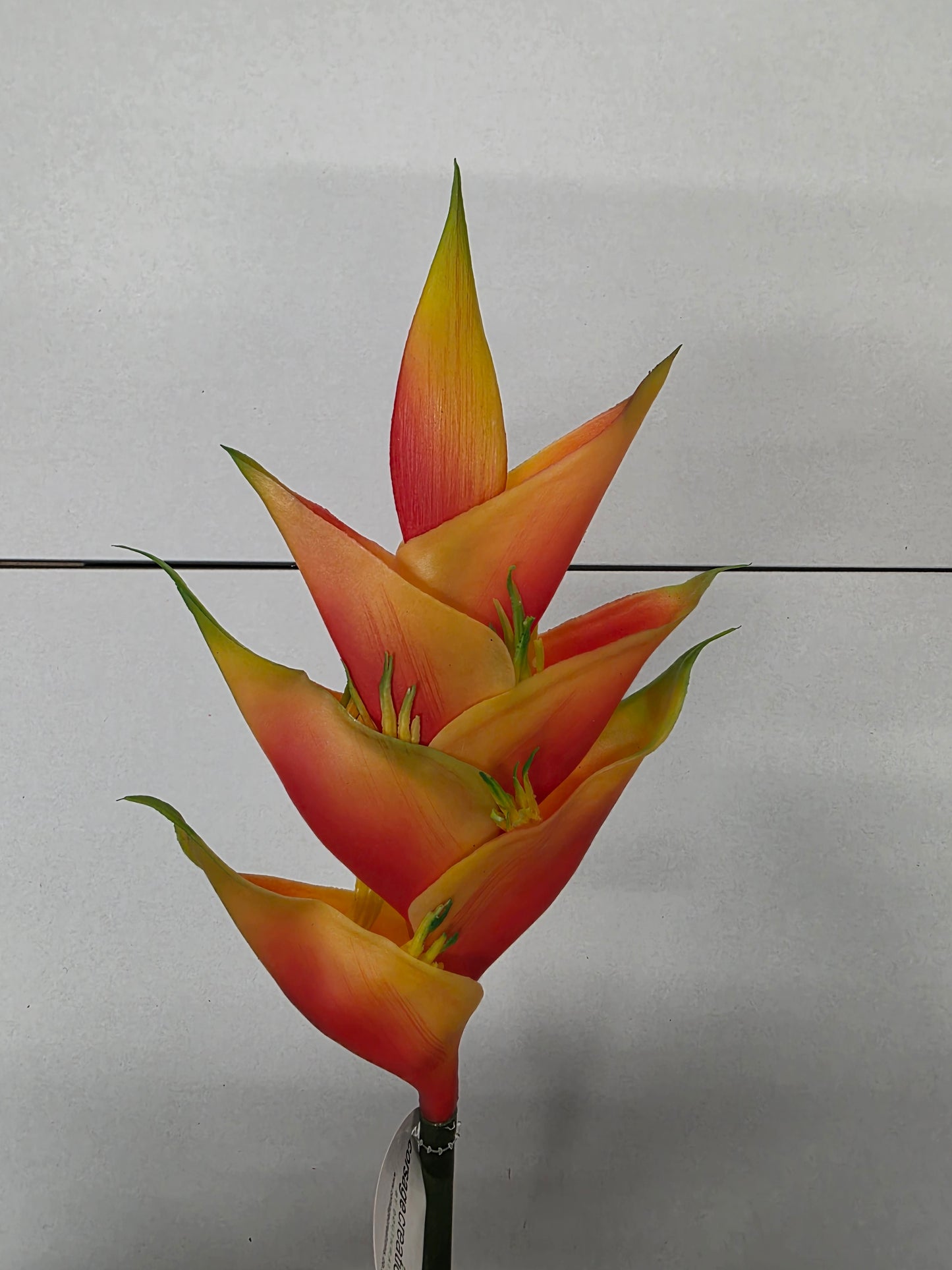 Artificial Heliconia Natural