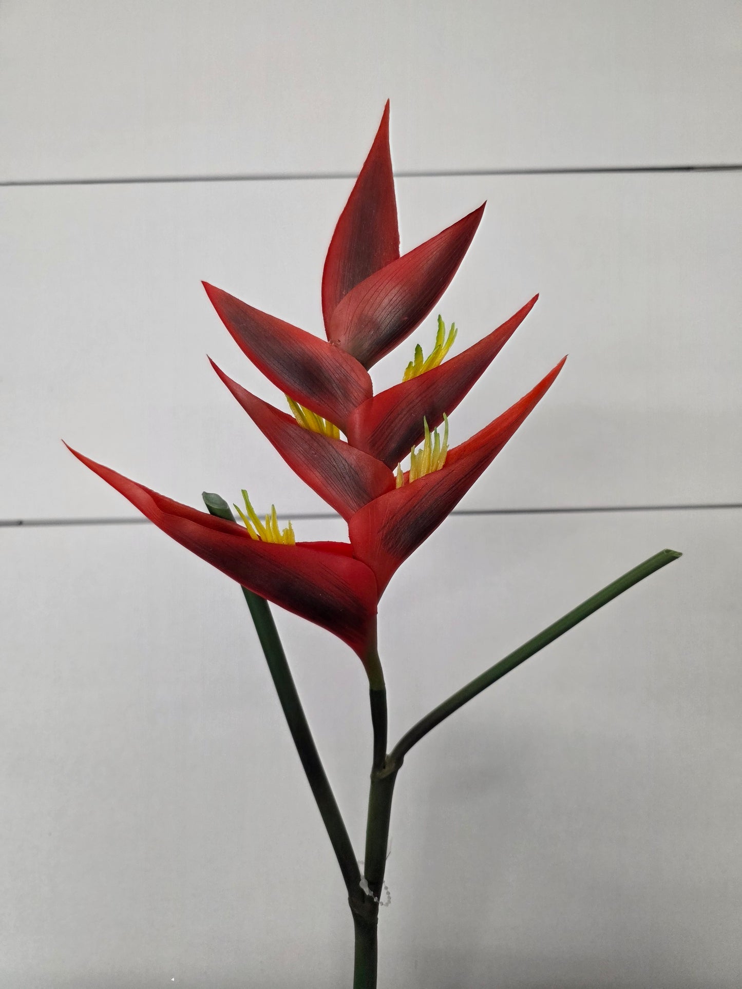 Artificial Heliconia Red 86cm