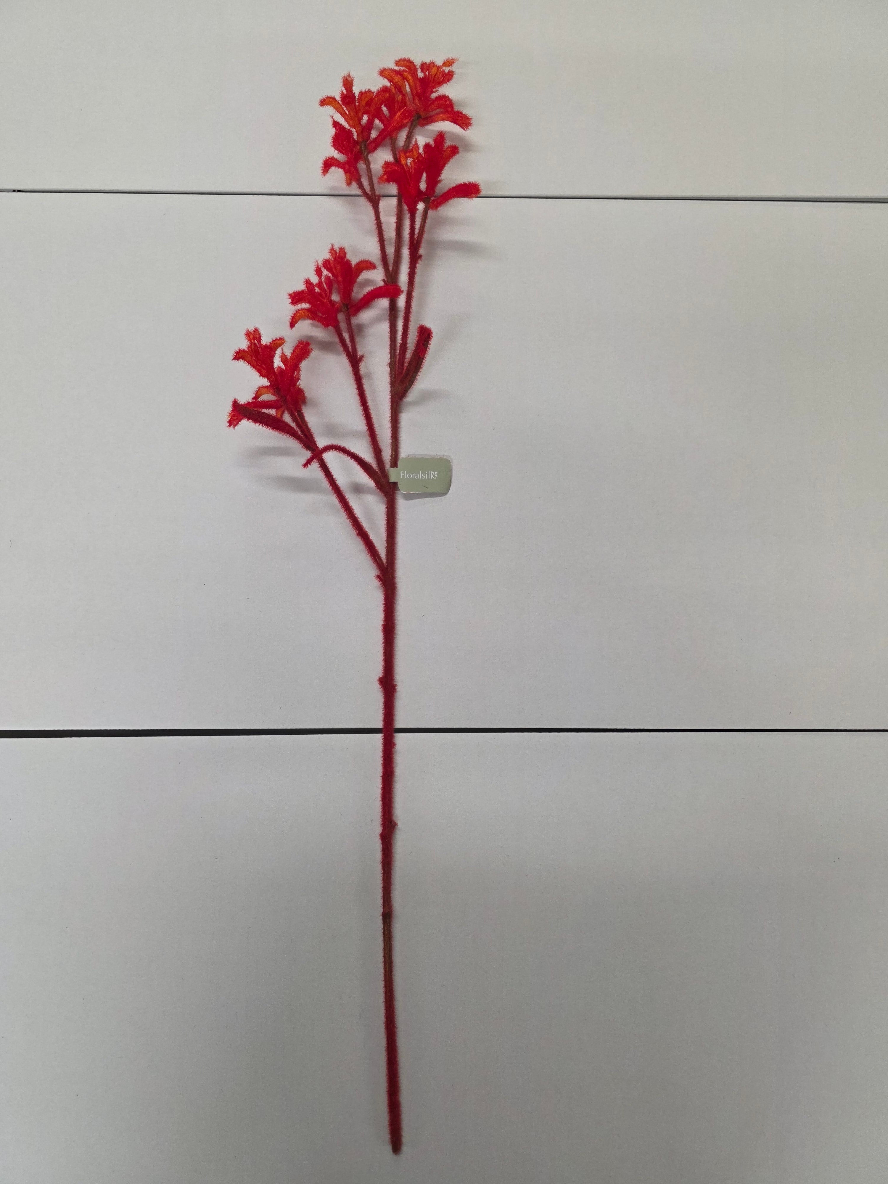 Artificial Kangaroo Paw Spray Orange