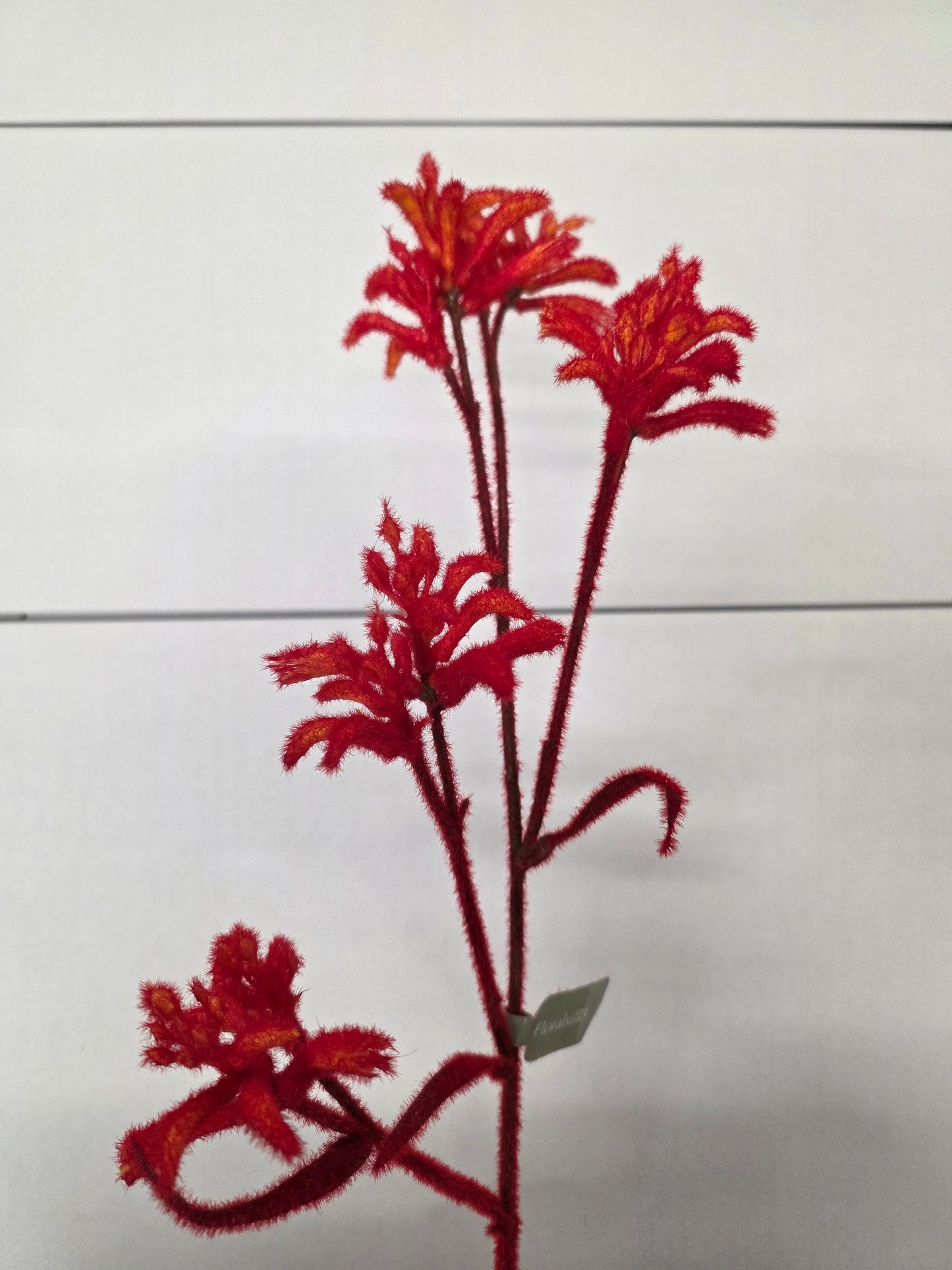 Artificial Kangaroo Paw Spray Orange