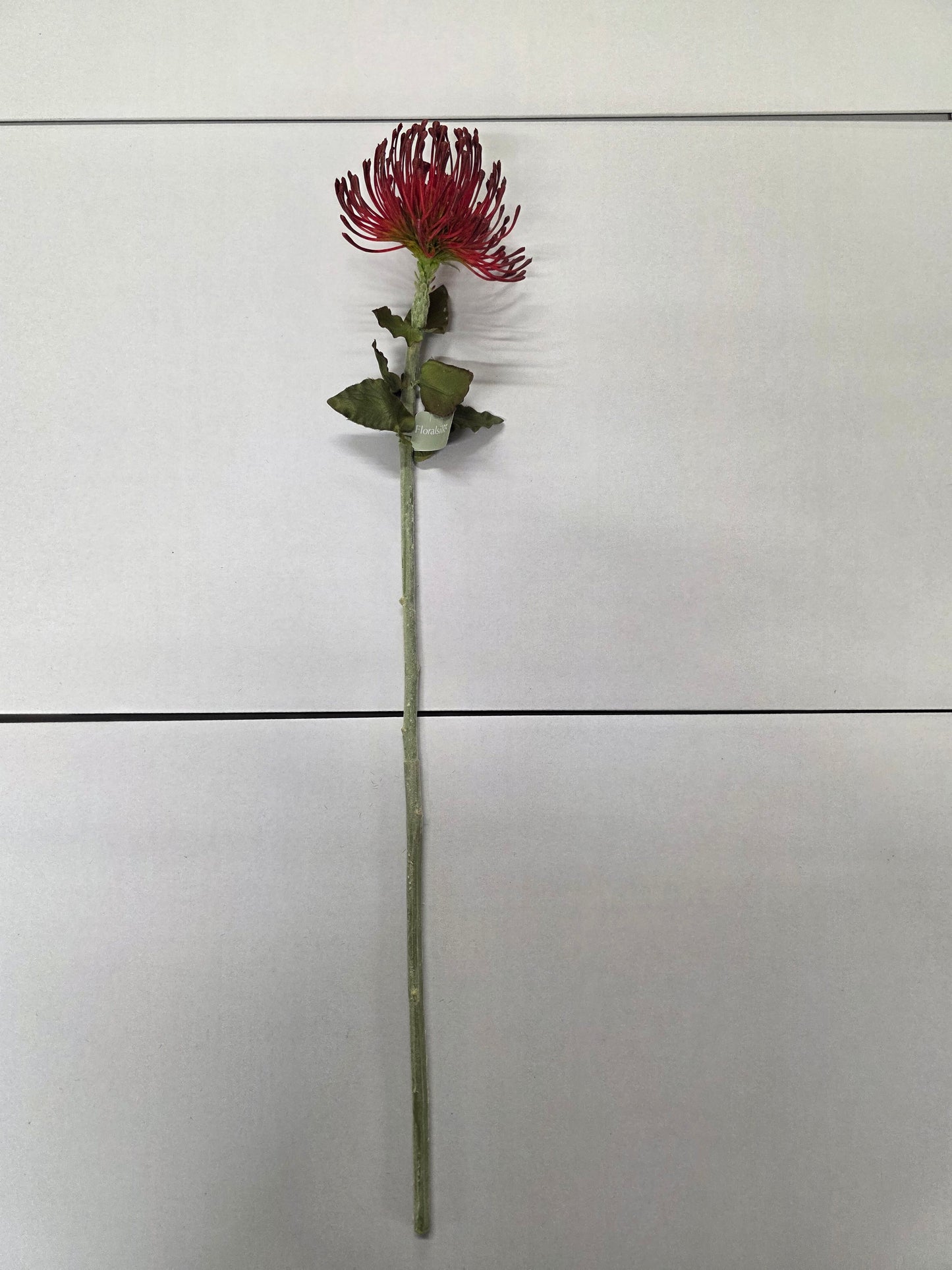 Artificial Pin Cushion Protea Burgundy 66cm