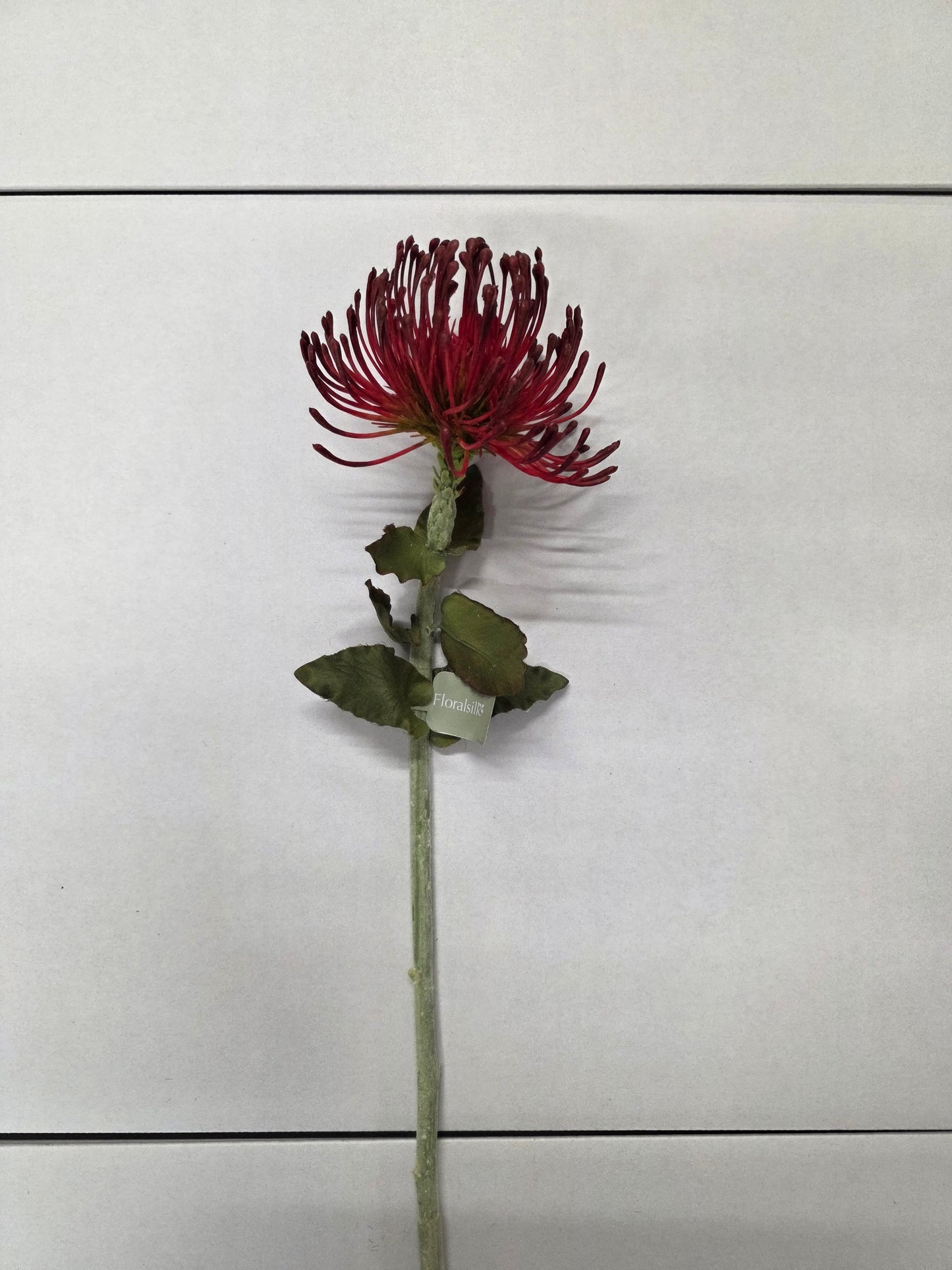 Artificial Pin Cushion Protea Burgundy 66cm