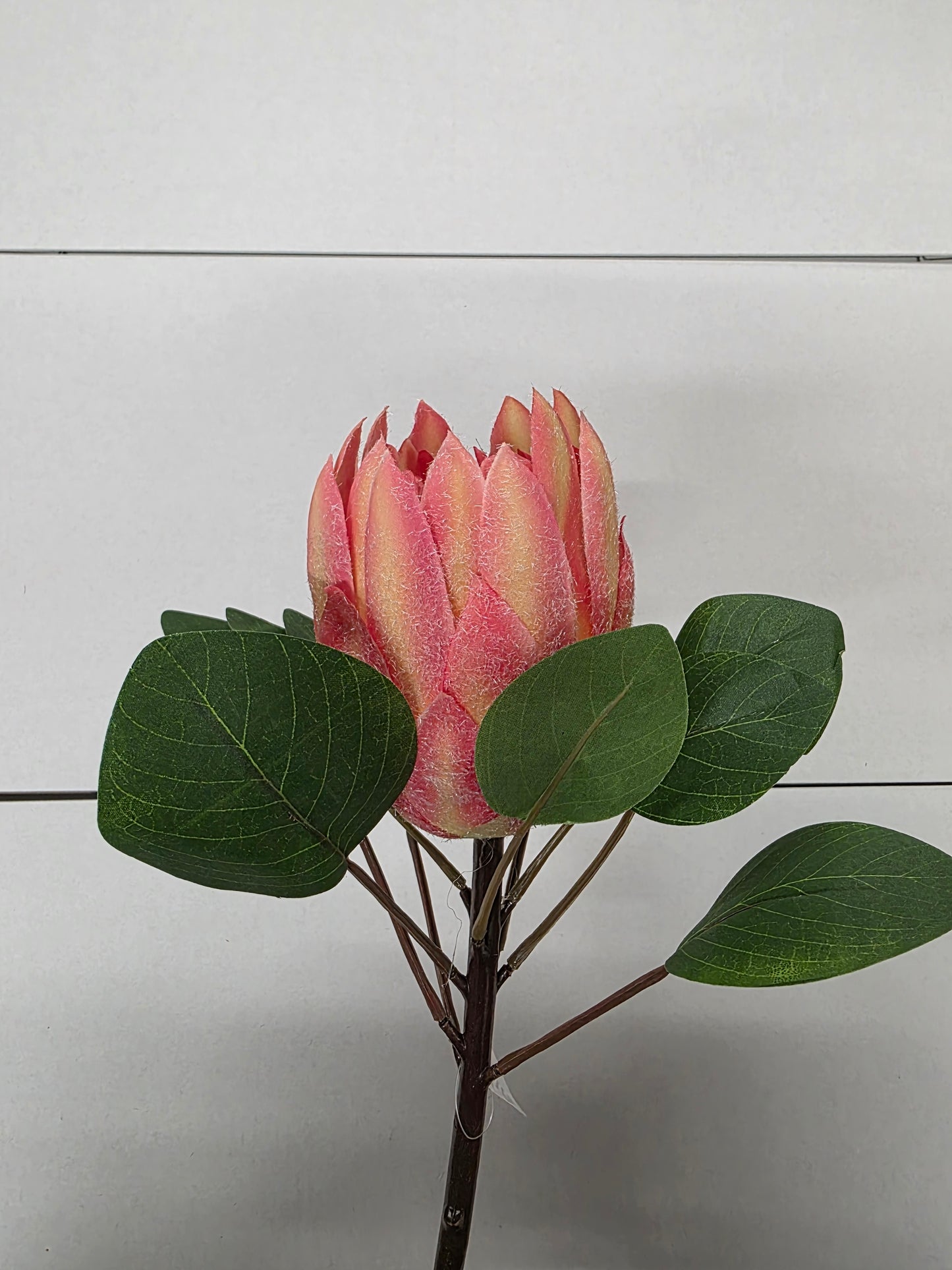 Artificial Protea Pink