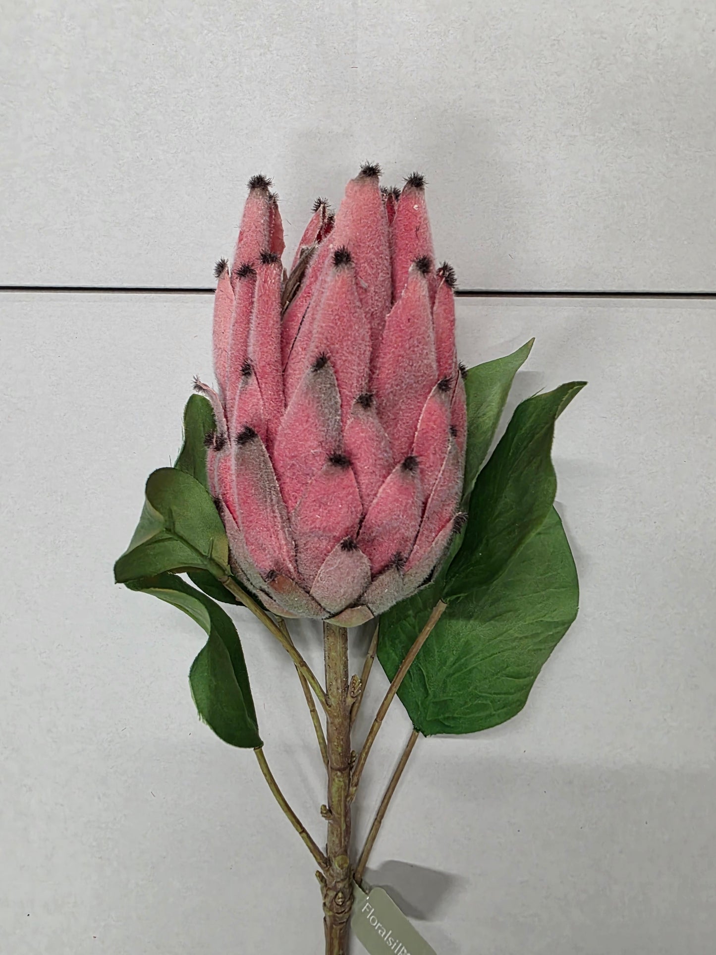Artificial Protea Pink Spray 71cm