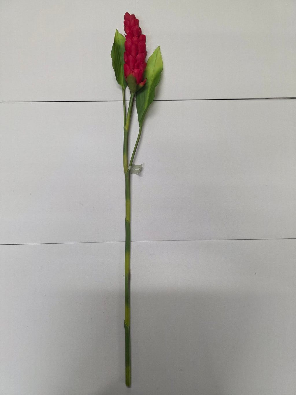 Artificial Torch Ginger Stem