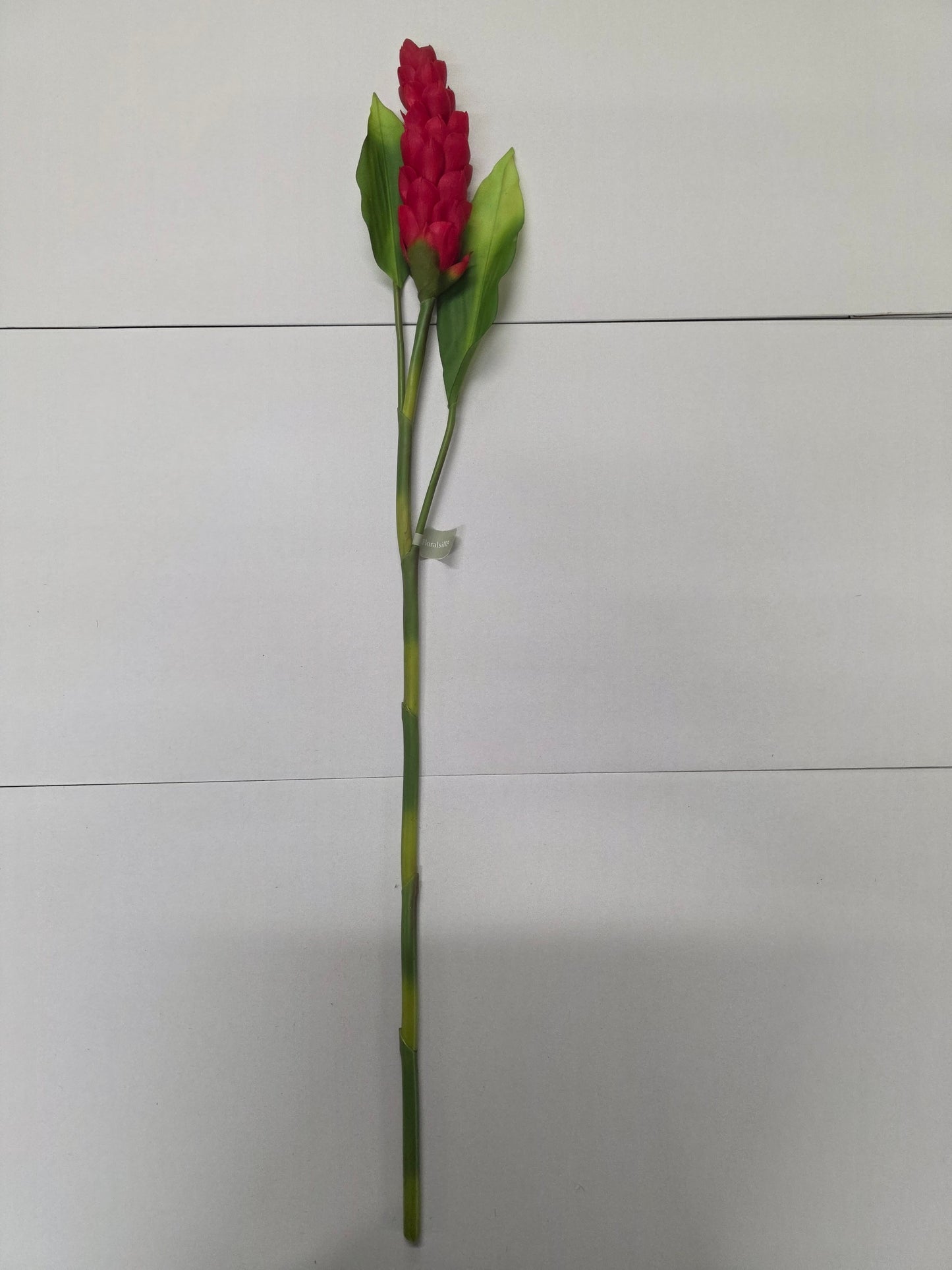 Artificial Torch Ginger Stem