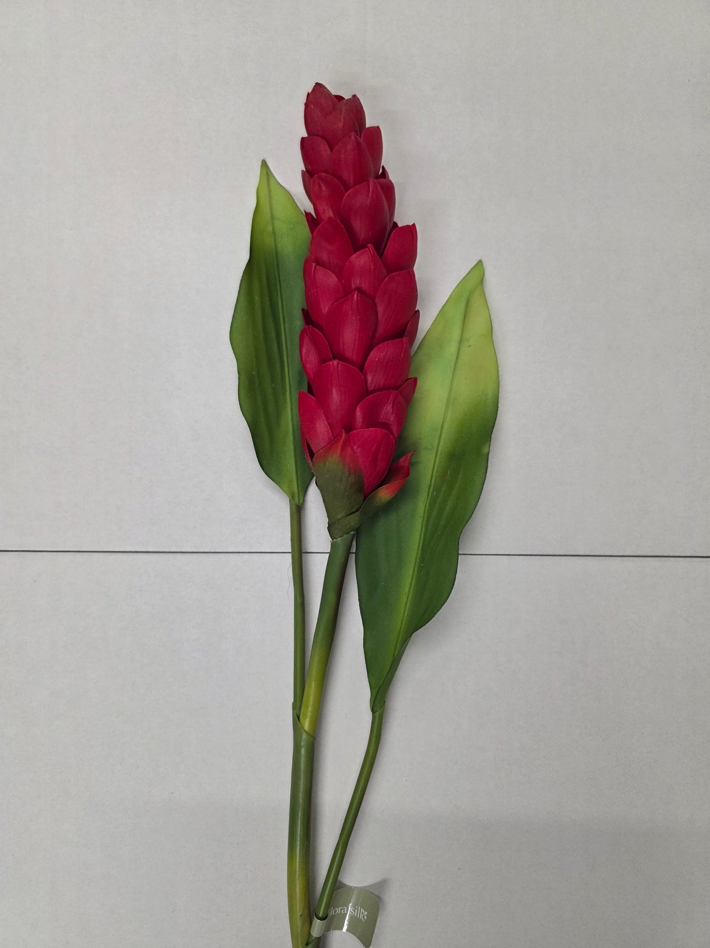 Artificial Torch Ginger Stem
