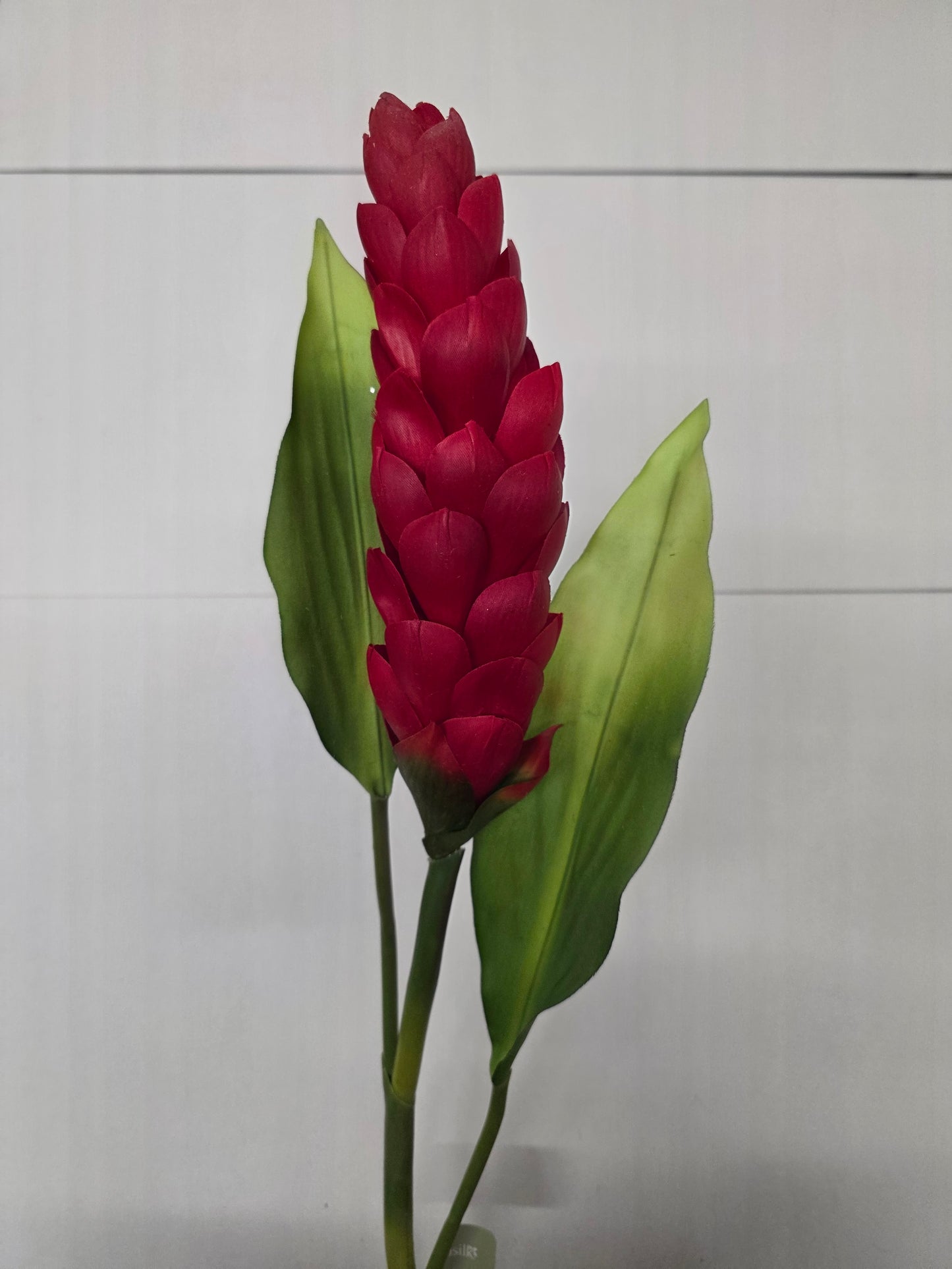 Artificial Torch Ginger Stem