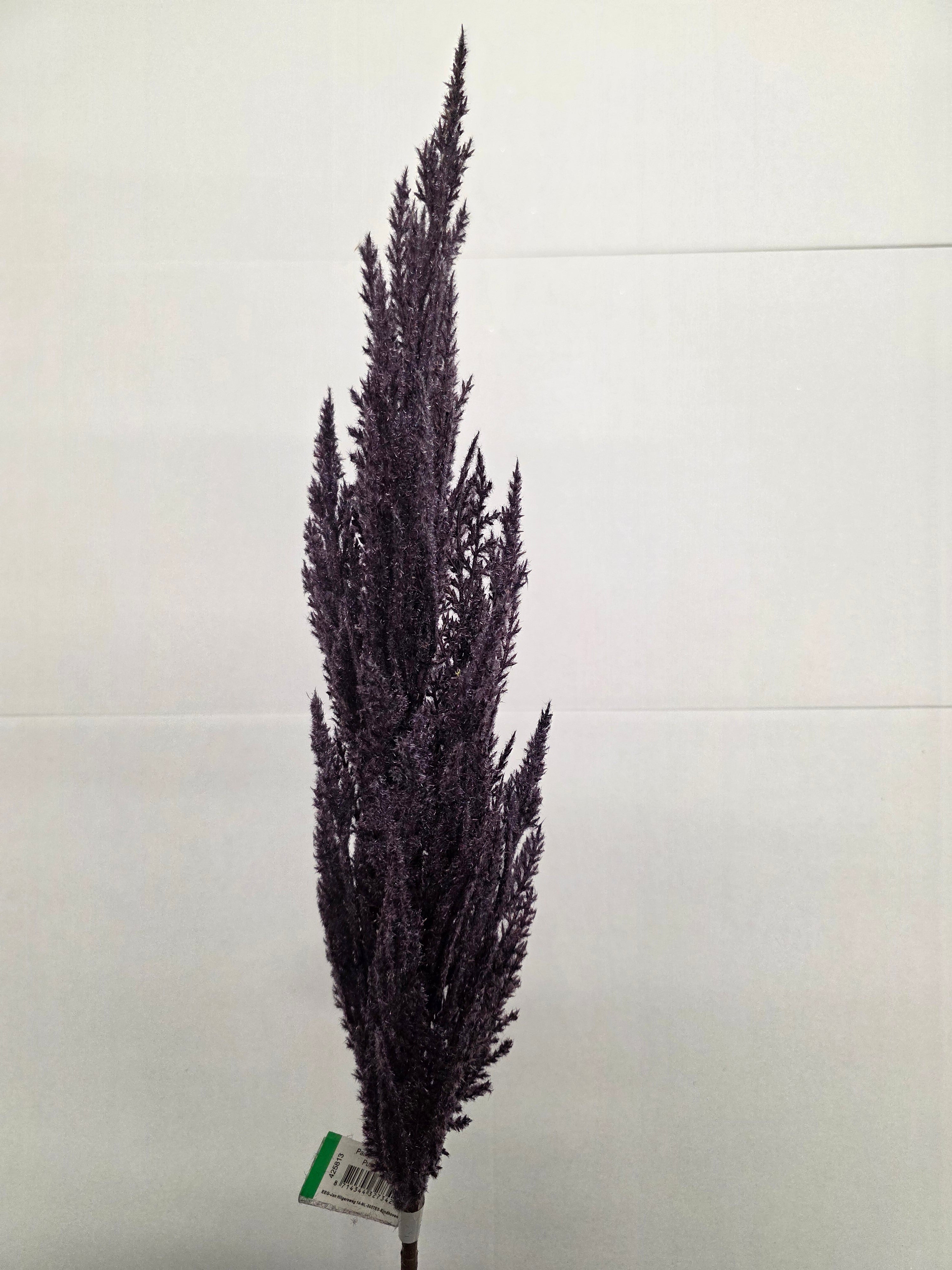 Artifical Pampas Grass Purple