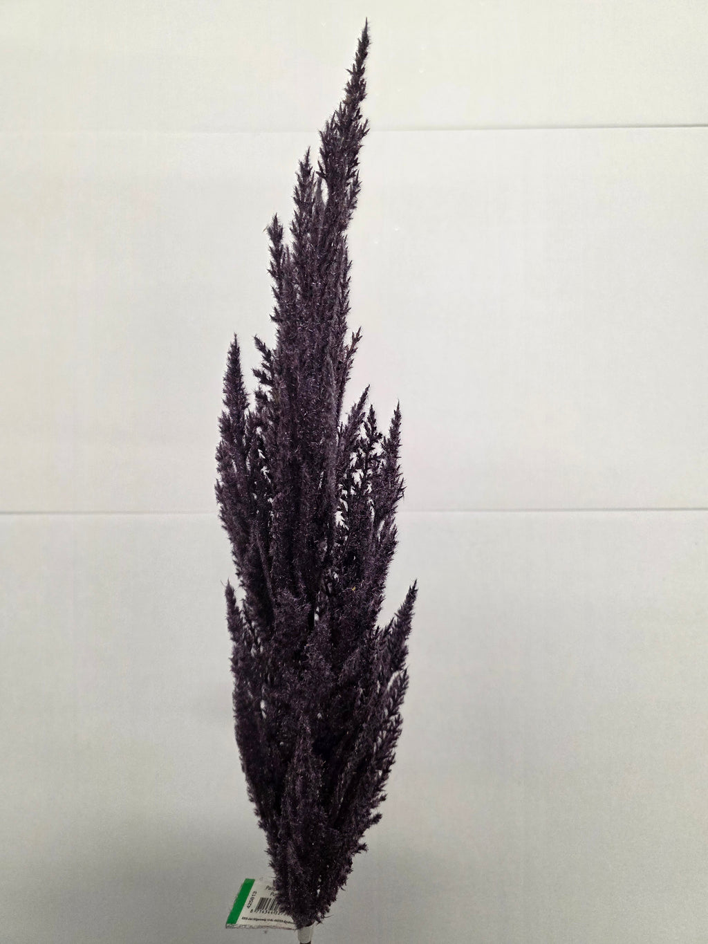 Artifical Pampas Grass Purple