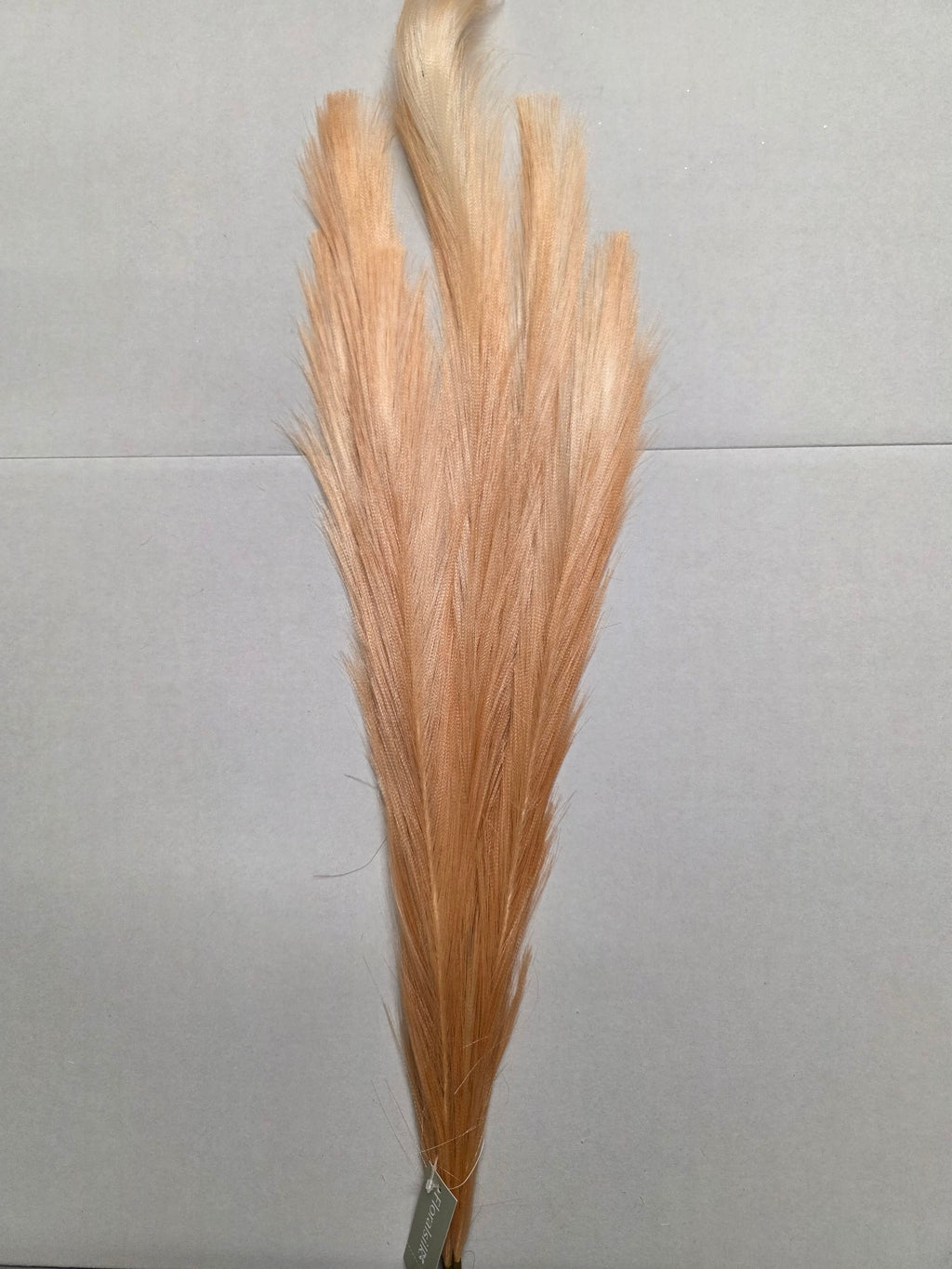 Artifical Pampas Spray Coral