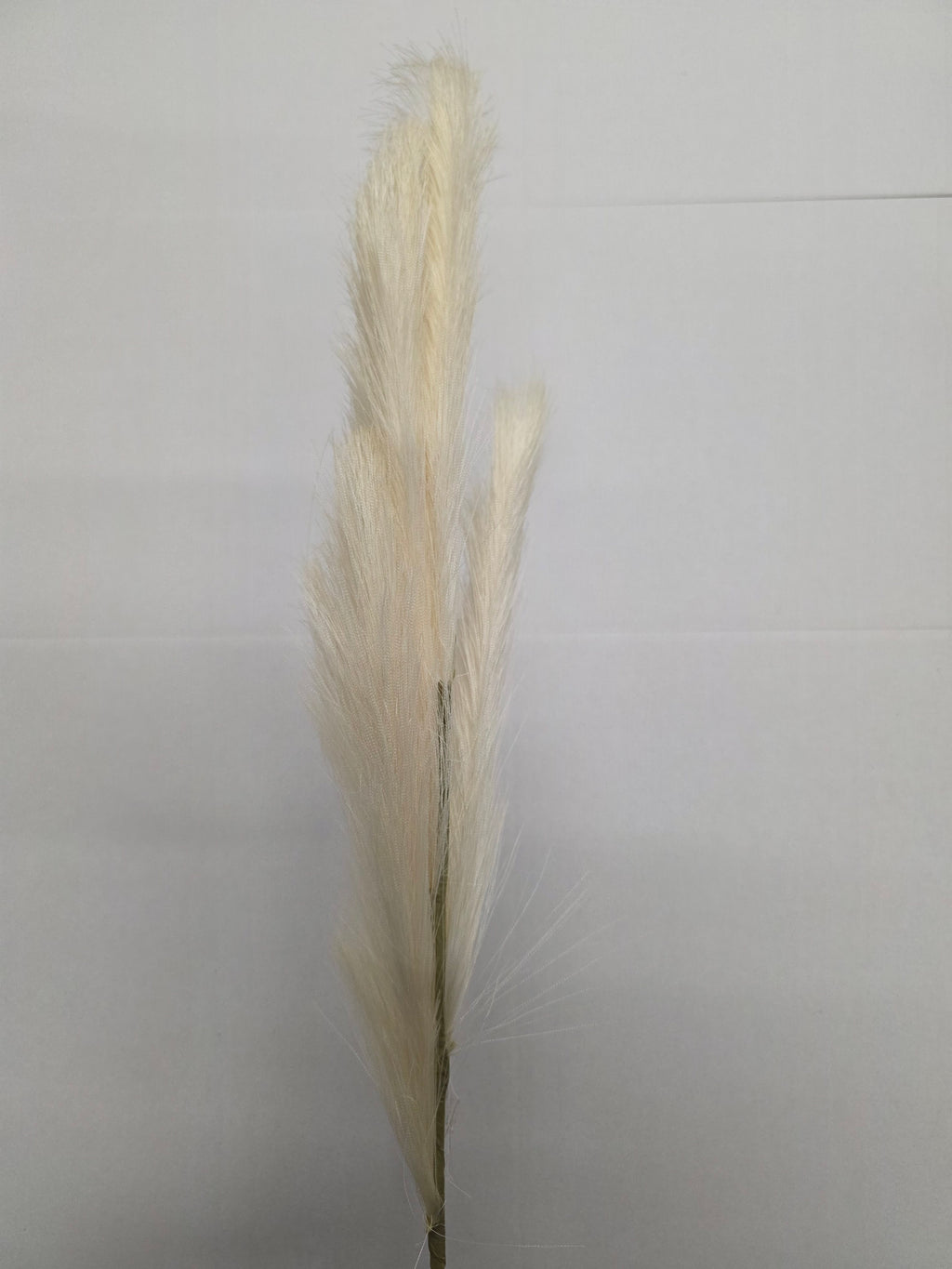 Artifical Pampas Spray Cream