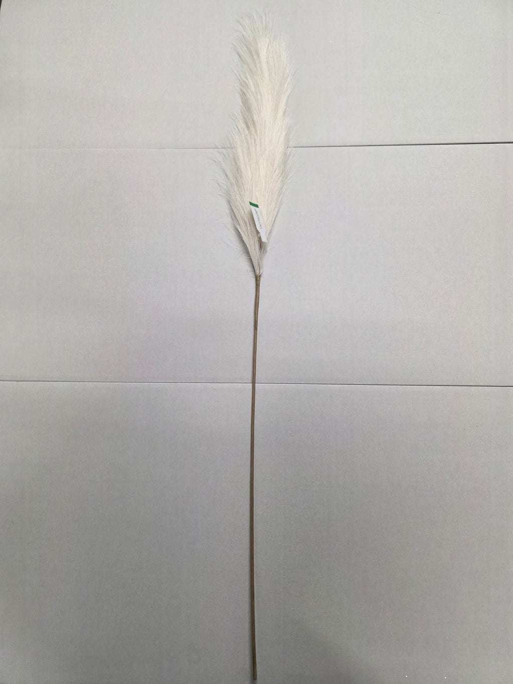 Artifical Pampas Stem Cream