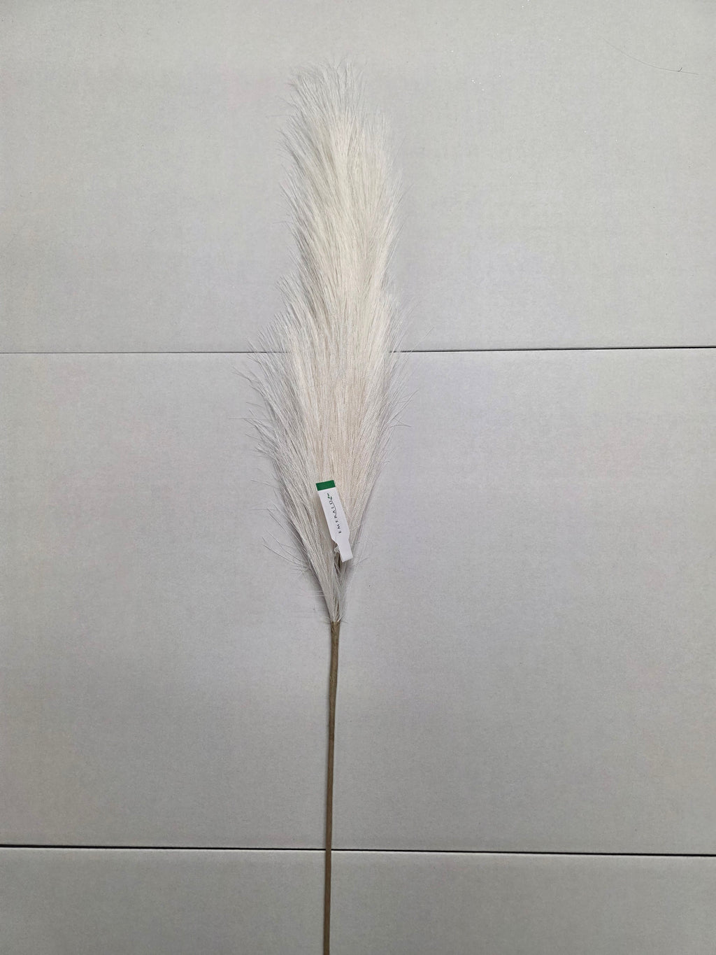 Artifical Pampas Stem Cream
