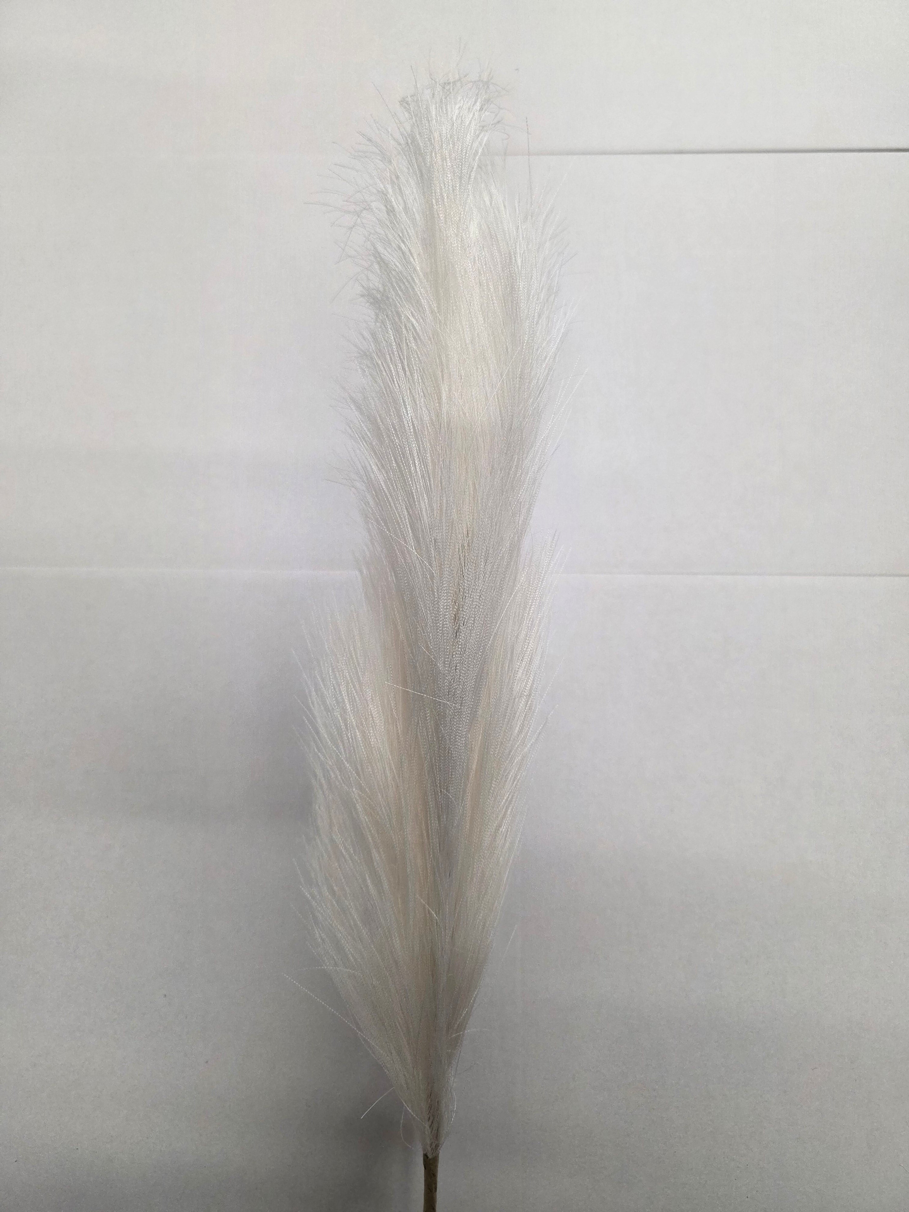 Artifical Pampas Stem Cream